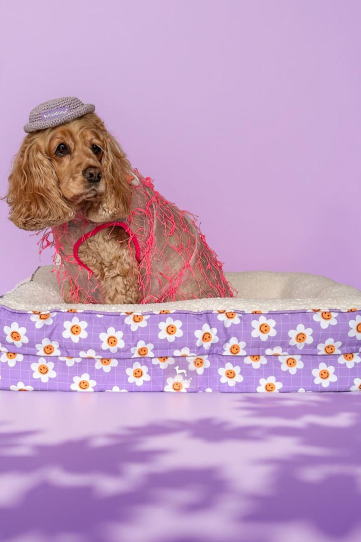 Lolidogs Cozy Köpek Yatağı Daisy