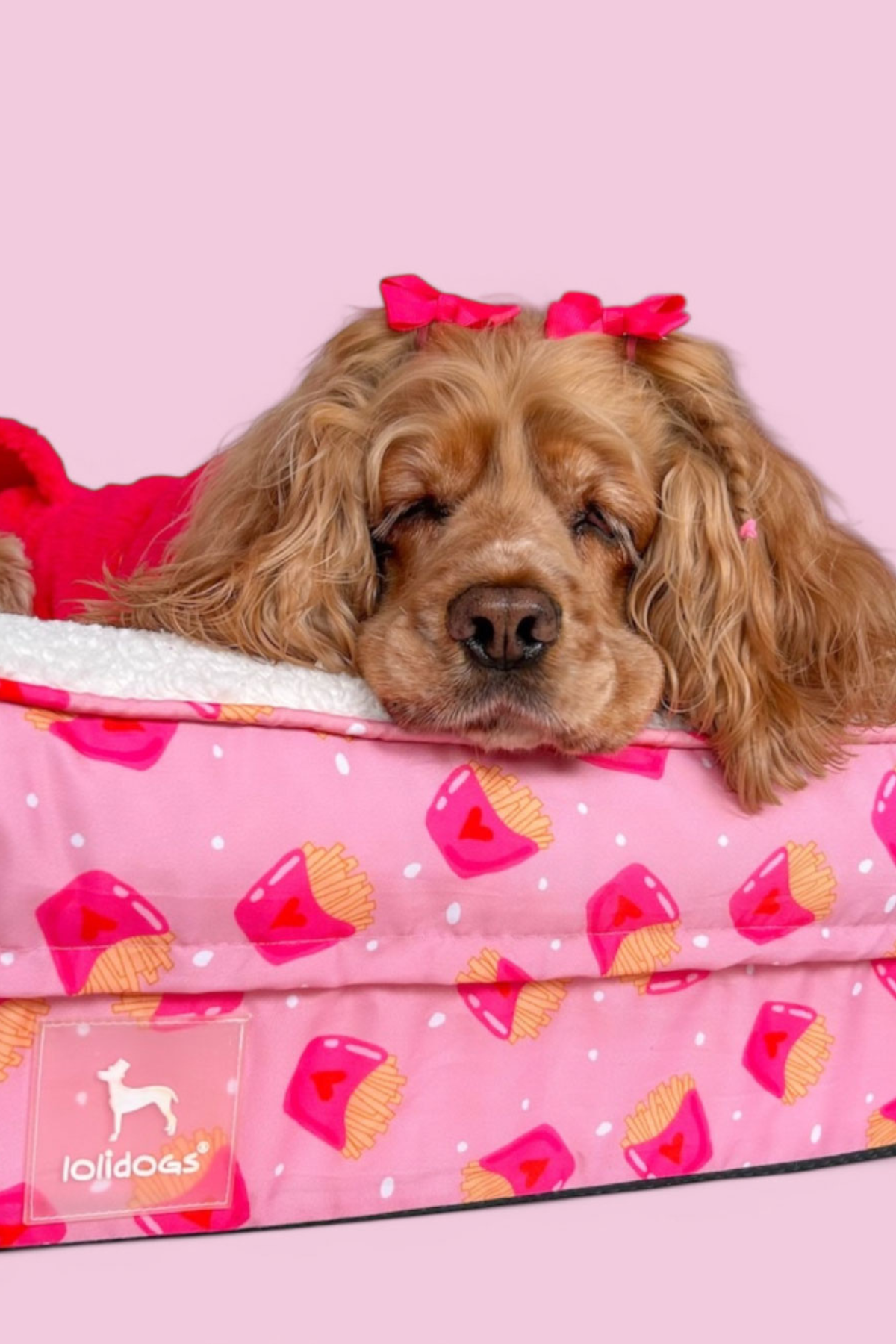 Lolidogs Cozy Köpek Yatağı Fries