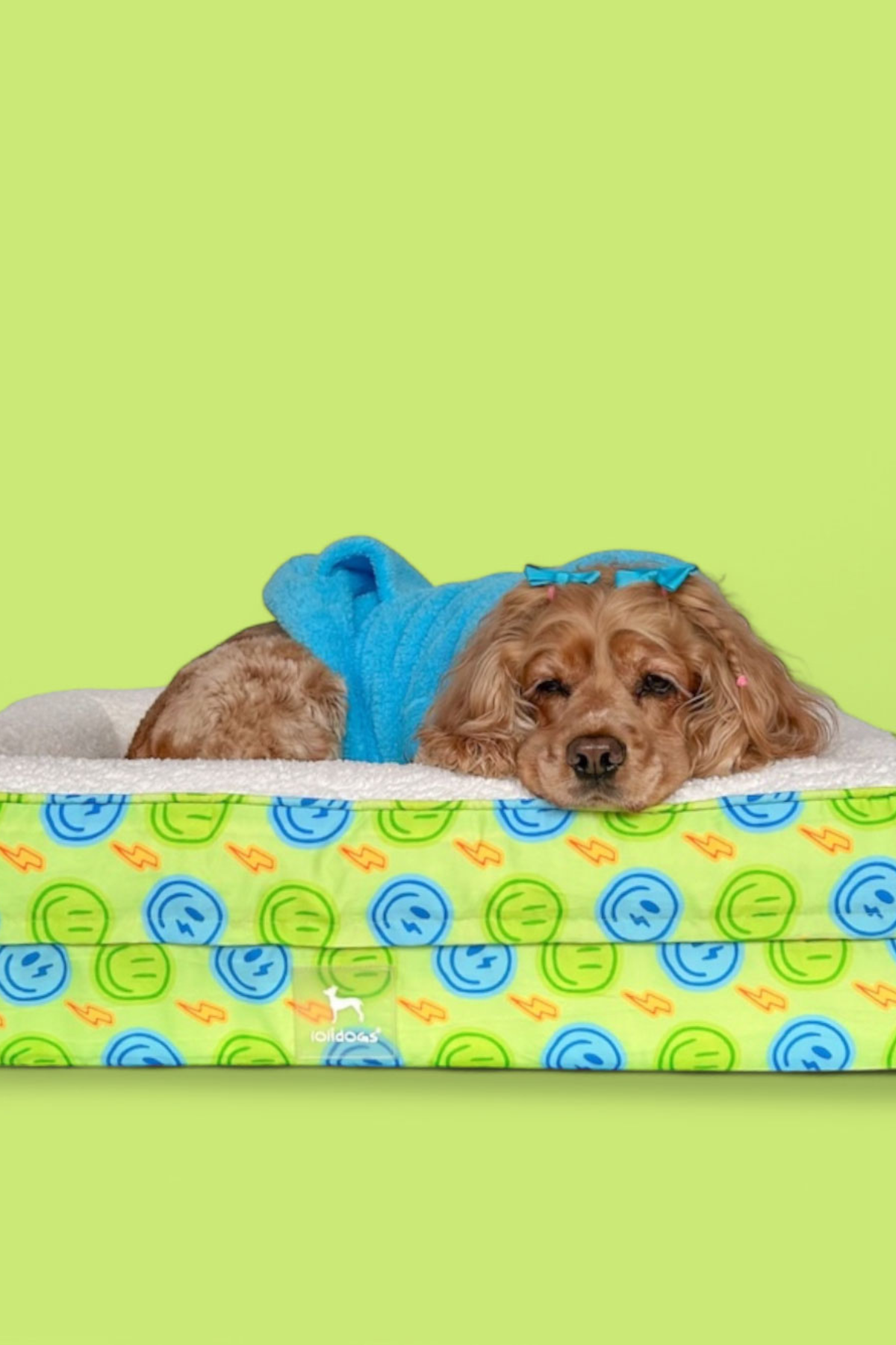 Lolidogs Cozy Köpek Yatağı Smiley