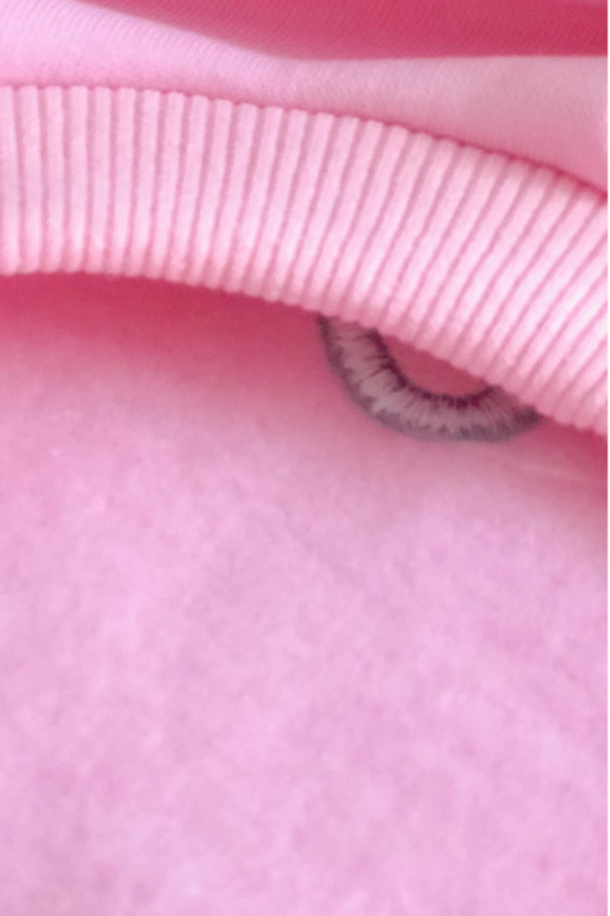 Lollidogs Cute But Psycho Dog Sweatshirtu Pink