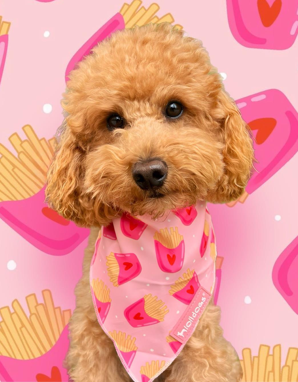 Lolidogs Fries Köpek Bandanası Pembe