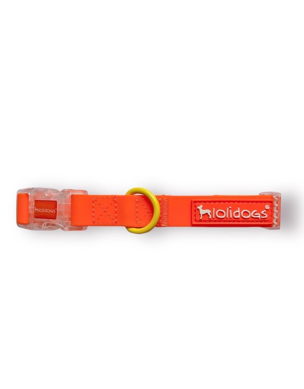 Lolidogs Jelly Collection Köpek Boyun Tasması Mango