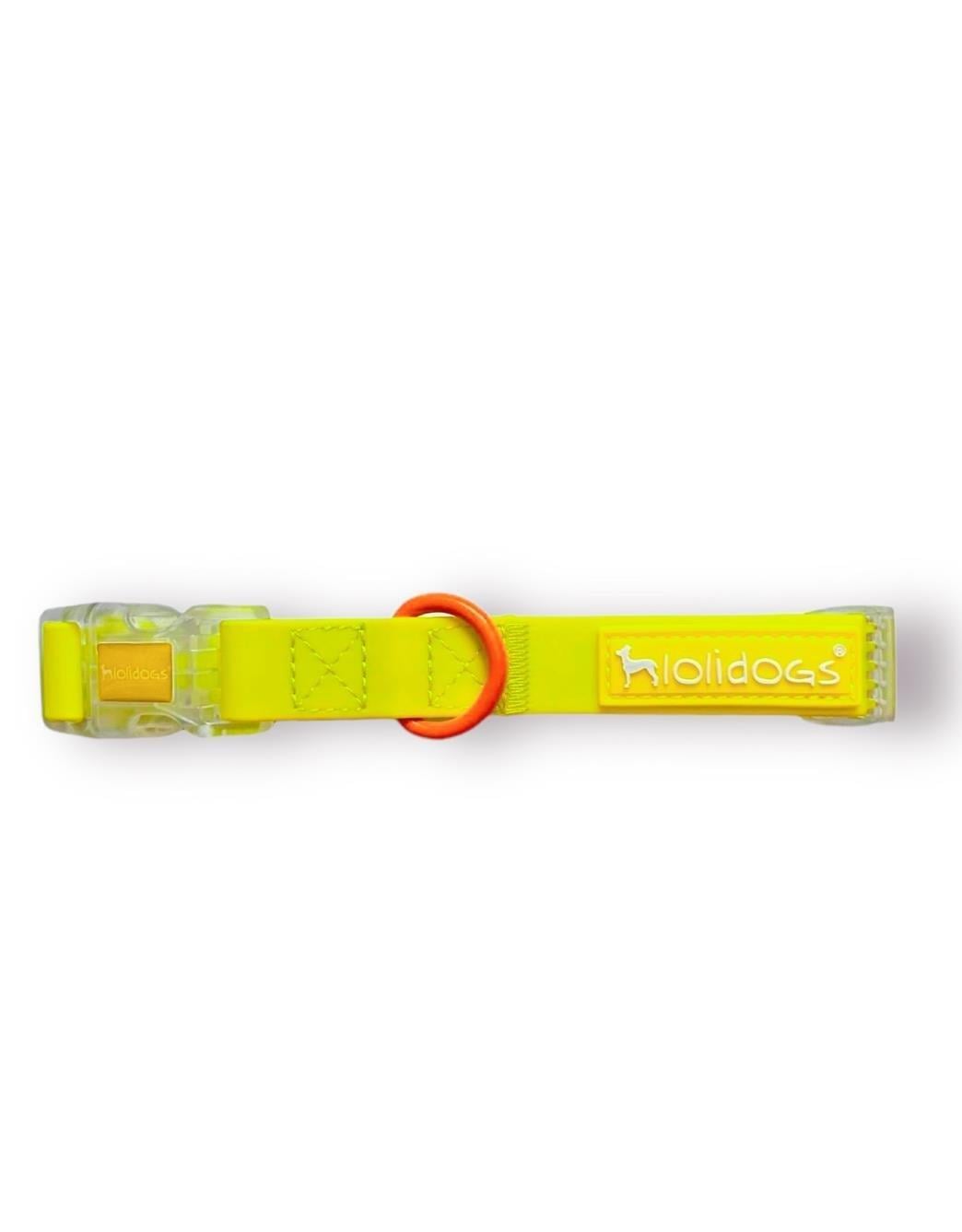Lolidogs Jelly Collection Köpek Boyun Tasması Sunkiss