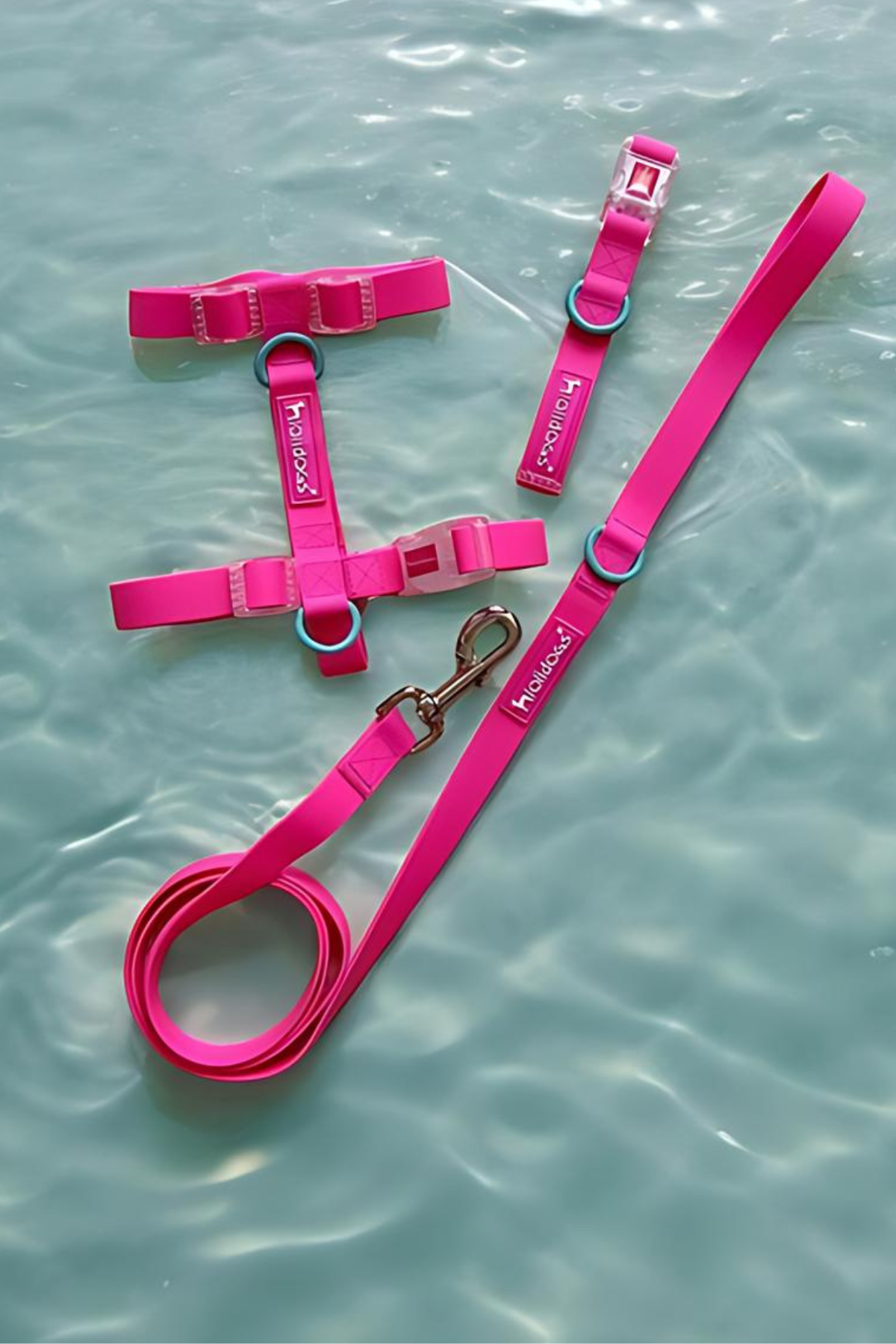 Lolidogs Jelly Collection Dog Harness Candy