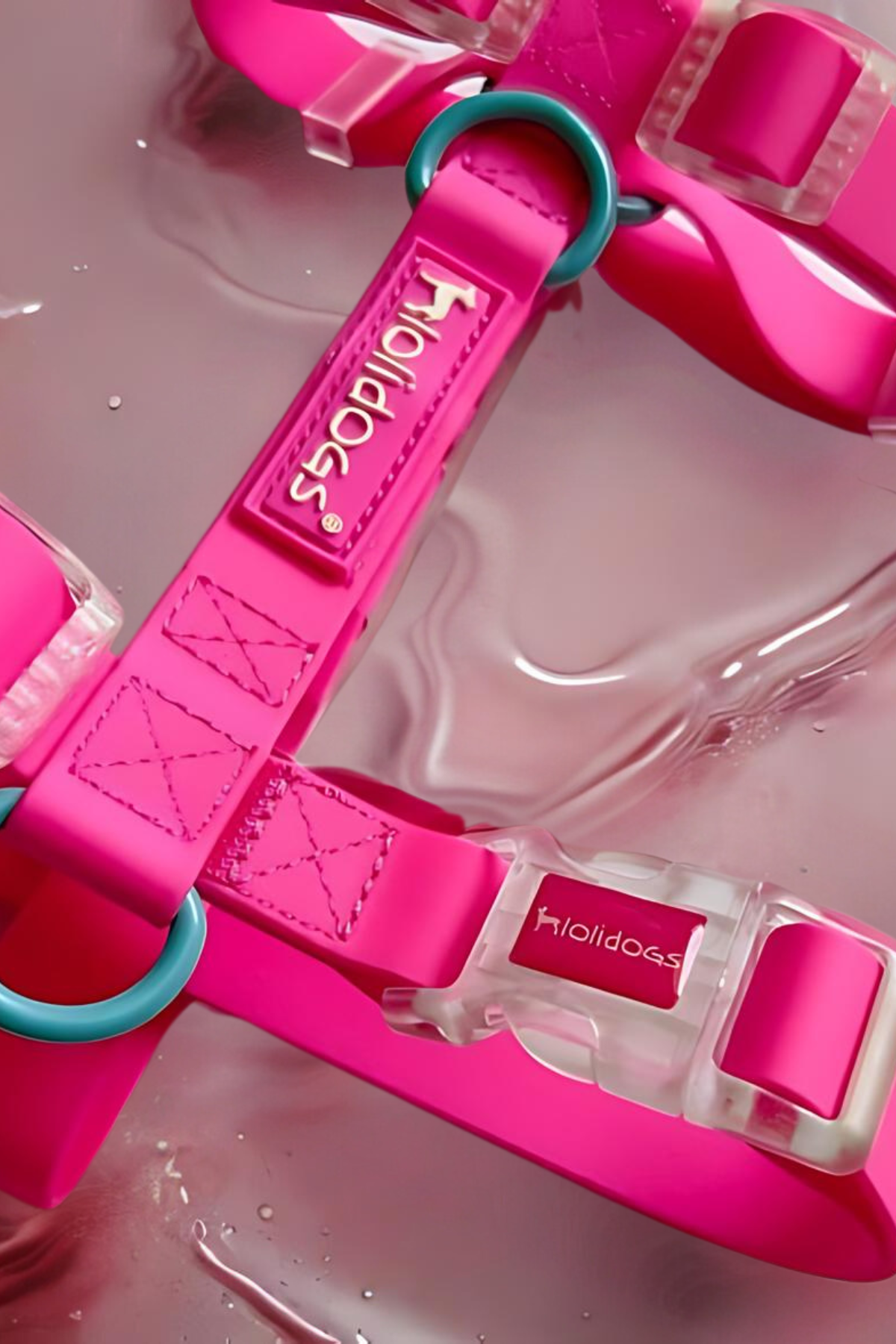 Lolidogs Jelly Collection Dog Harness Candy