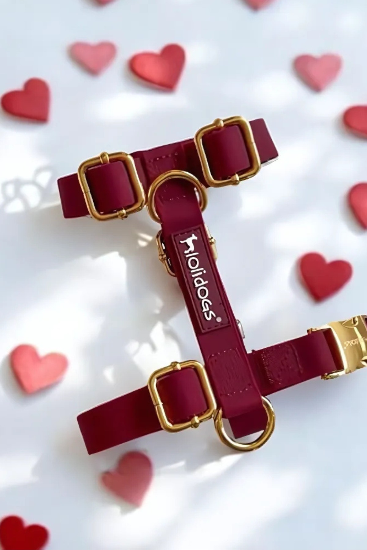 Lolidogs Jelly Lux Collection Köpek Göğüs Tasması Ruby Bordo