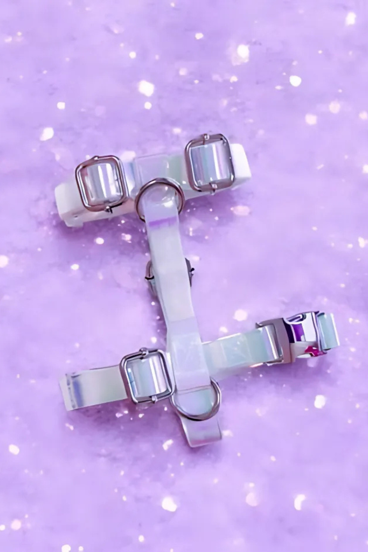 Lolidogs Jelly Lux Collection Köpek Göğüs Tasması Pearl Hologram