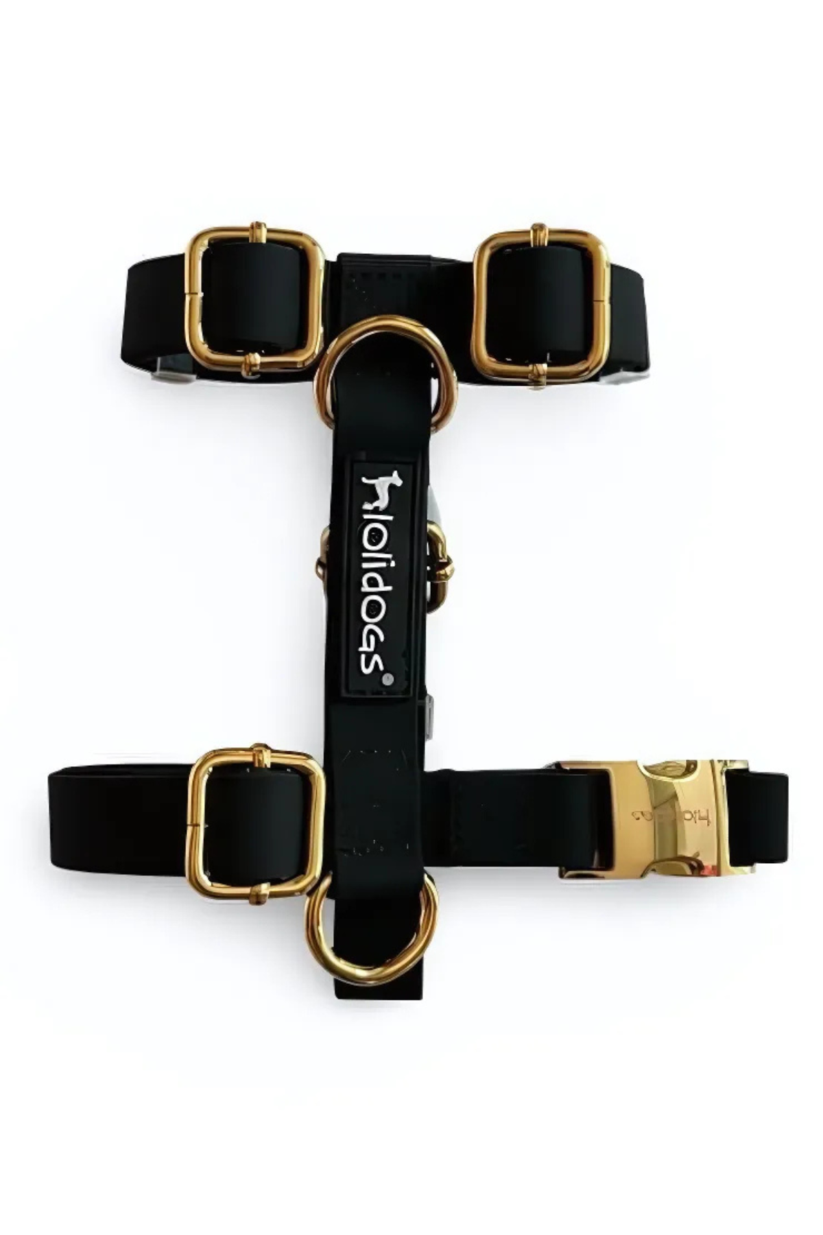 Lolidogs Jelly Lux Collection Köpek Göğüs Tasması Black Pearl Siyah