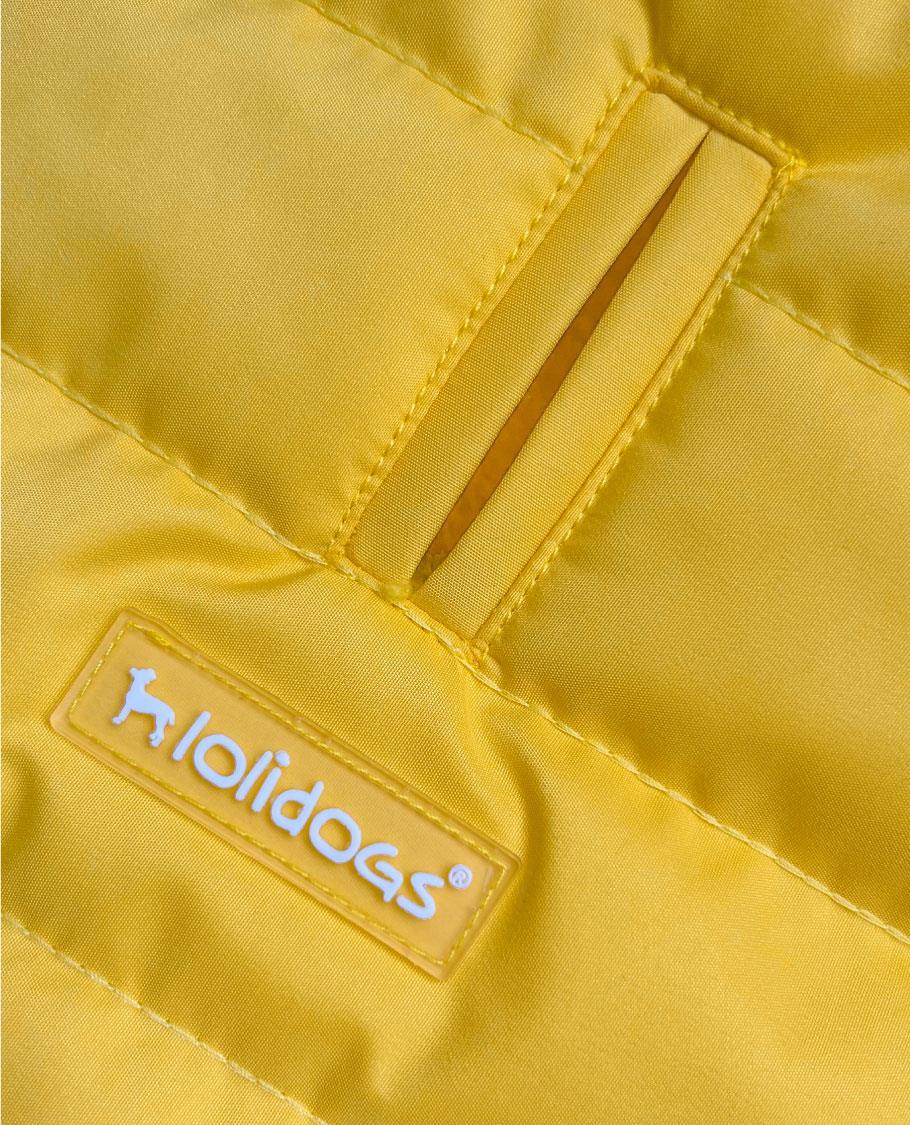 Lolidogs Lemon Şişme Köpek Montu