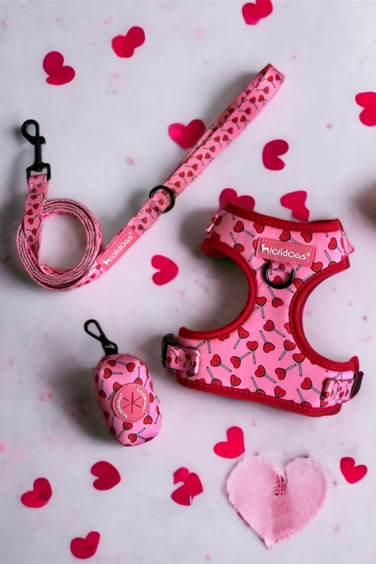 Lolidogs Lover Harness Set