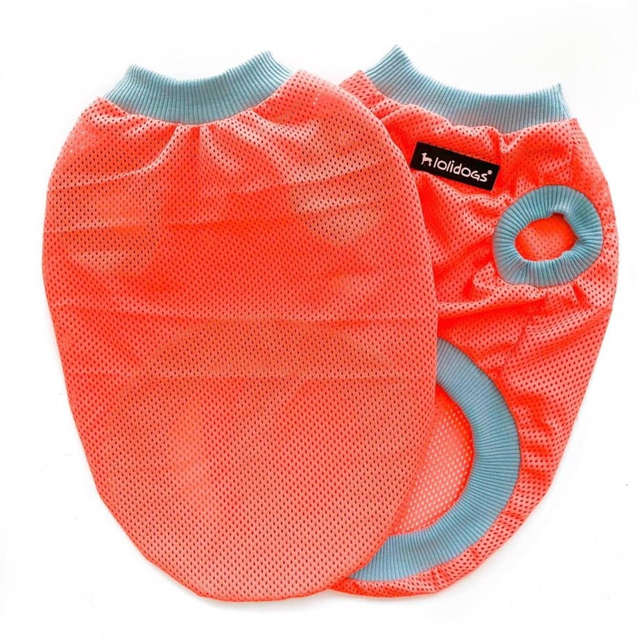 Lollidogs Neon Orange File Dog Tshirtu