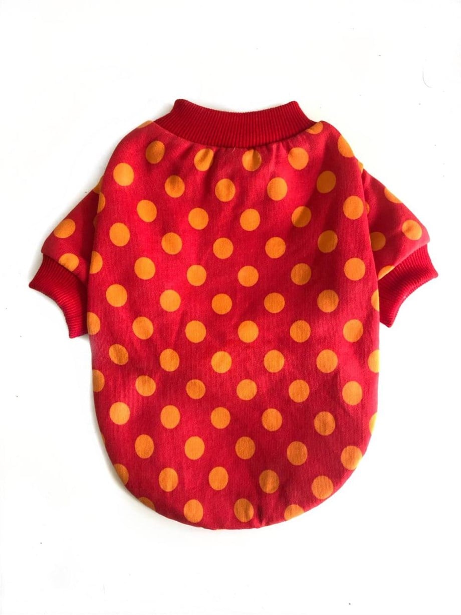 Lolidogs Pop Köpek Sweatshirt