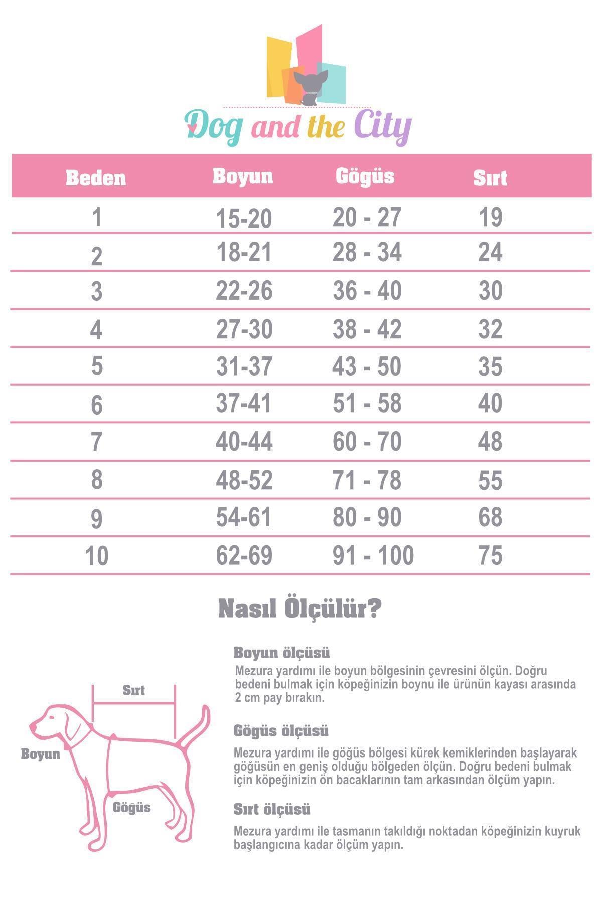 Lolidogs Santas Little Helper Köpek Basic Sweatshirt Yeşil