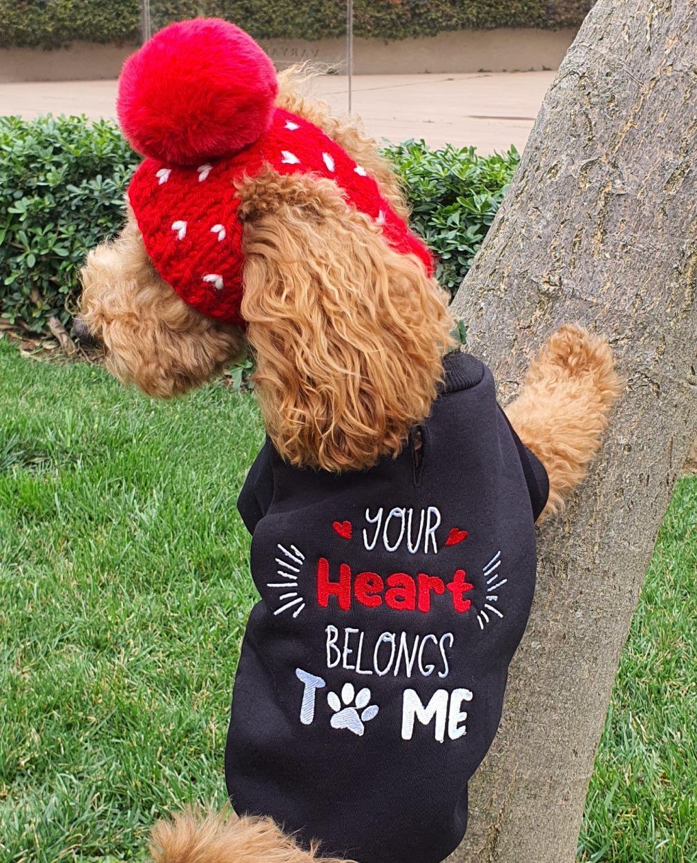 Lolidogs Your Heart Belongs To Me Nakışlı Köpek Sweatshirtü Siyah