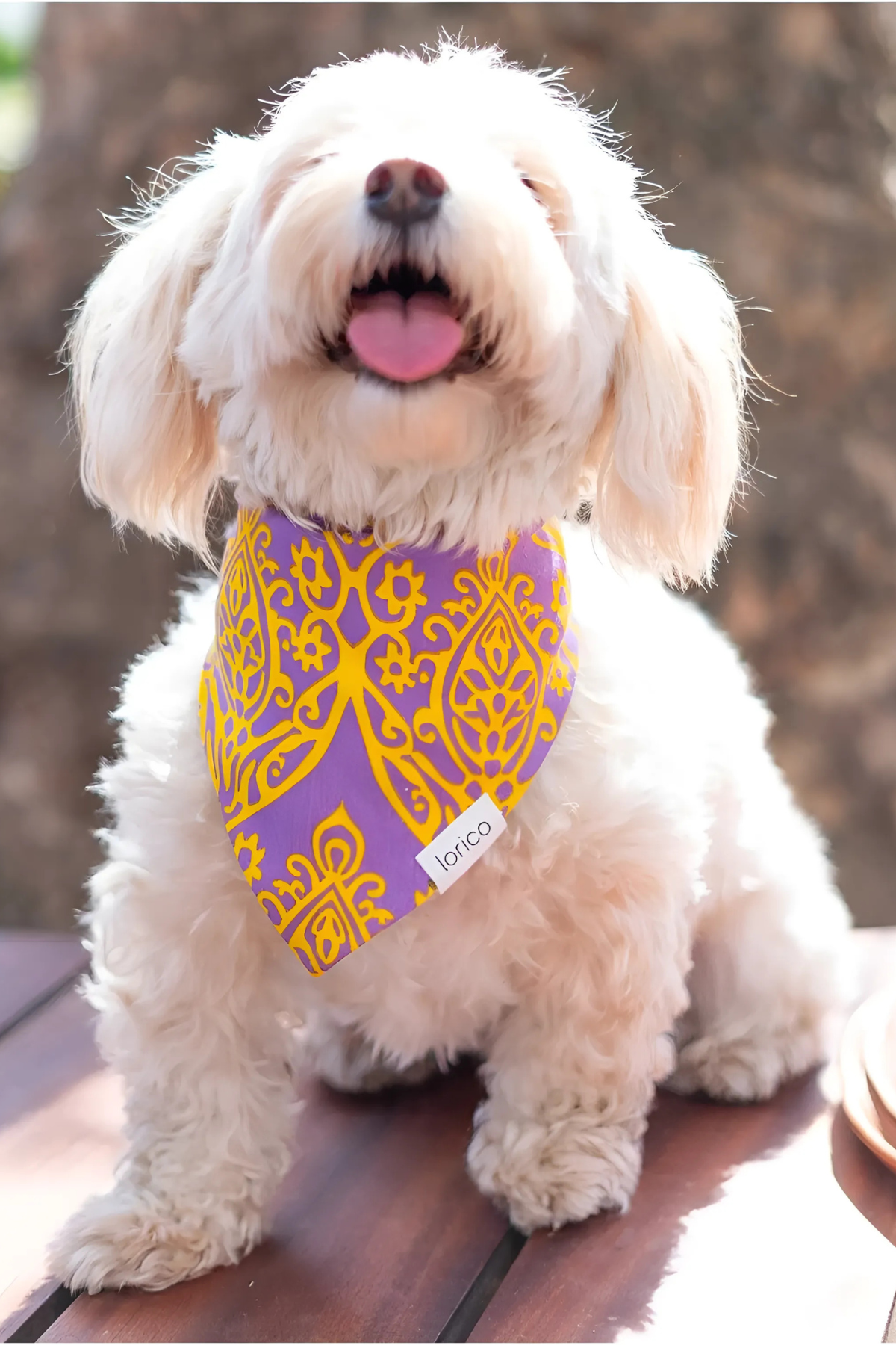 Lorico Köpek Çıtçıtlı Desenli Fular/Bandana Mor 