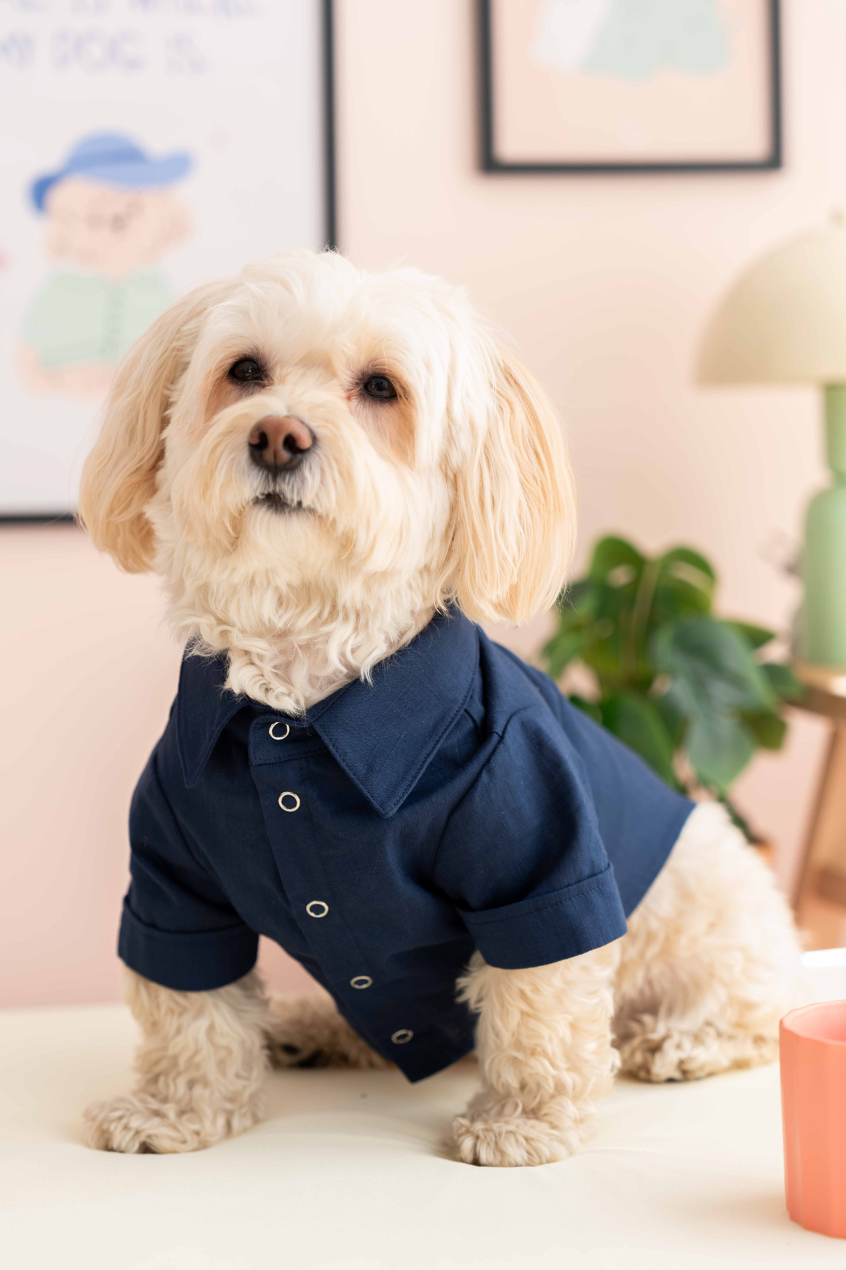 Lorico Lacivert Gömlek 