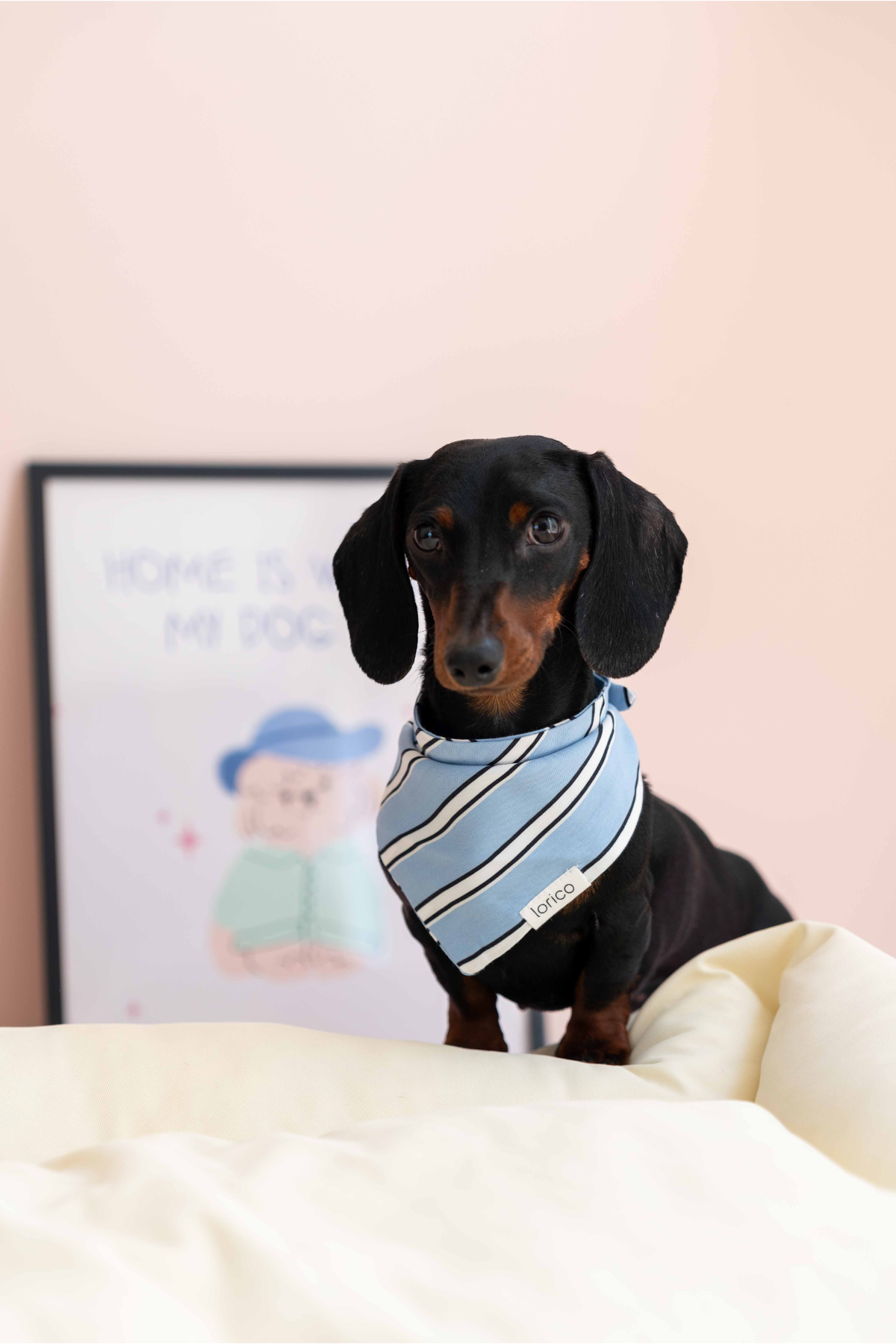 Lorico Mavi Çizgili Fular 