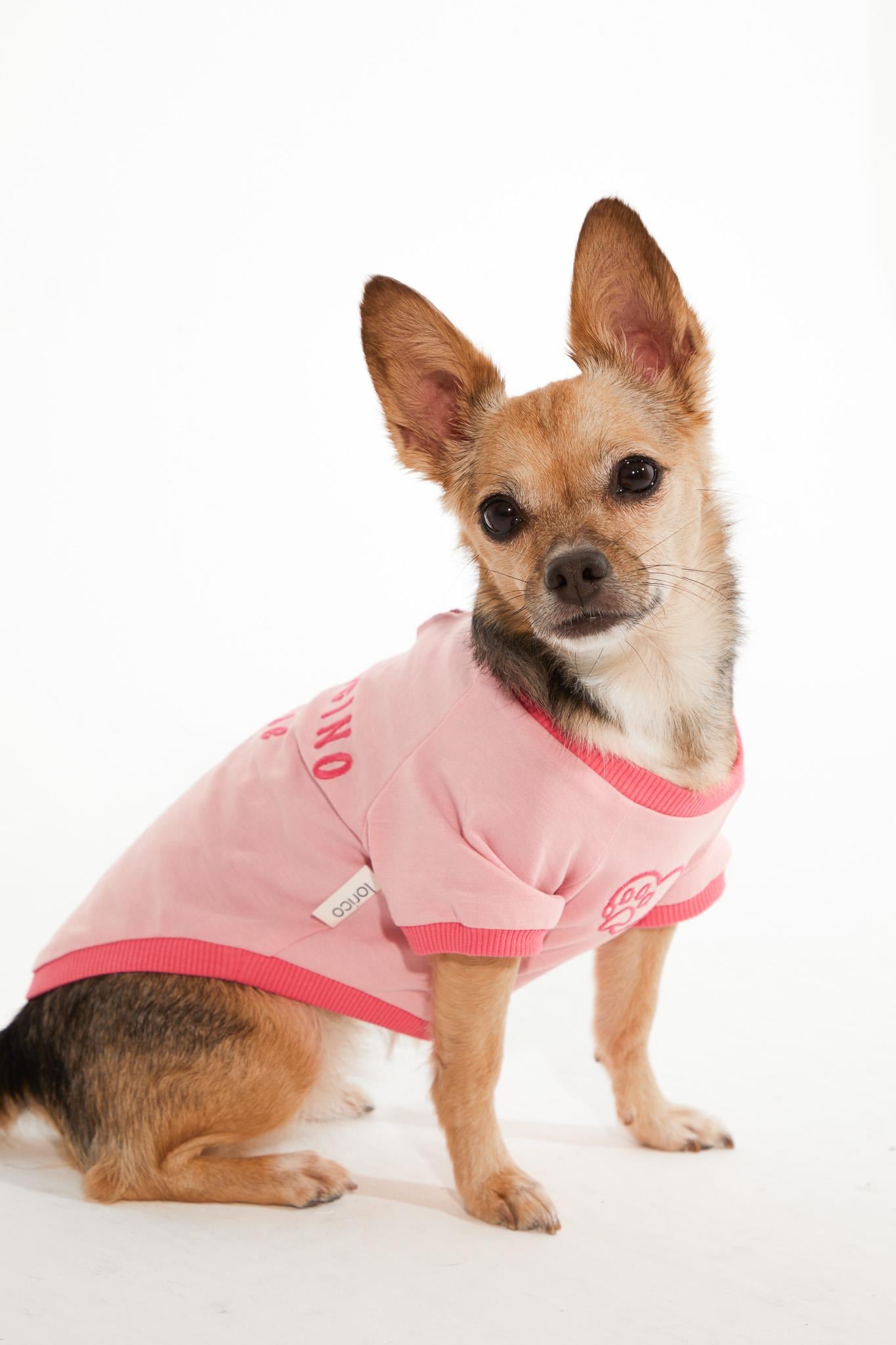 Lorico-Pet Amalfi T-Shirt - Pembe Köpek Kıyafeti