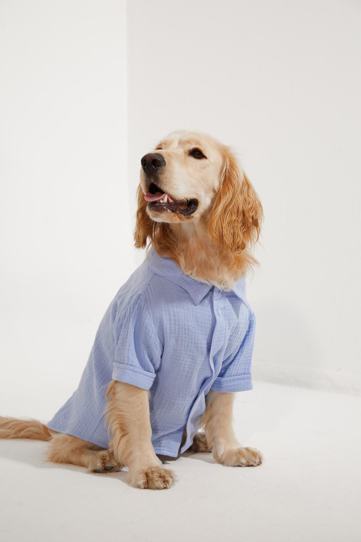 Lorico-Pet Positano Gömlek - Mavi Köpek Kıyafeti