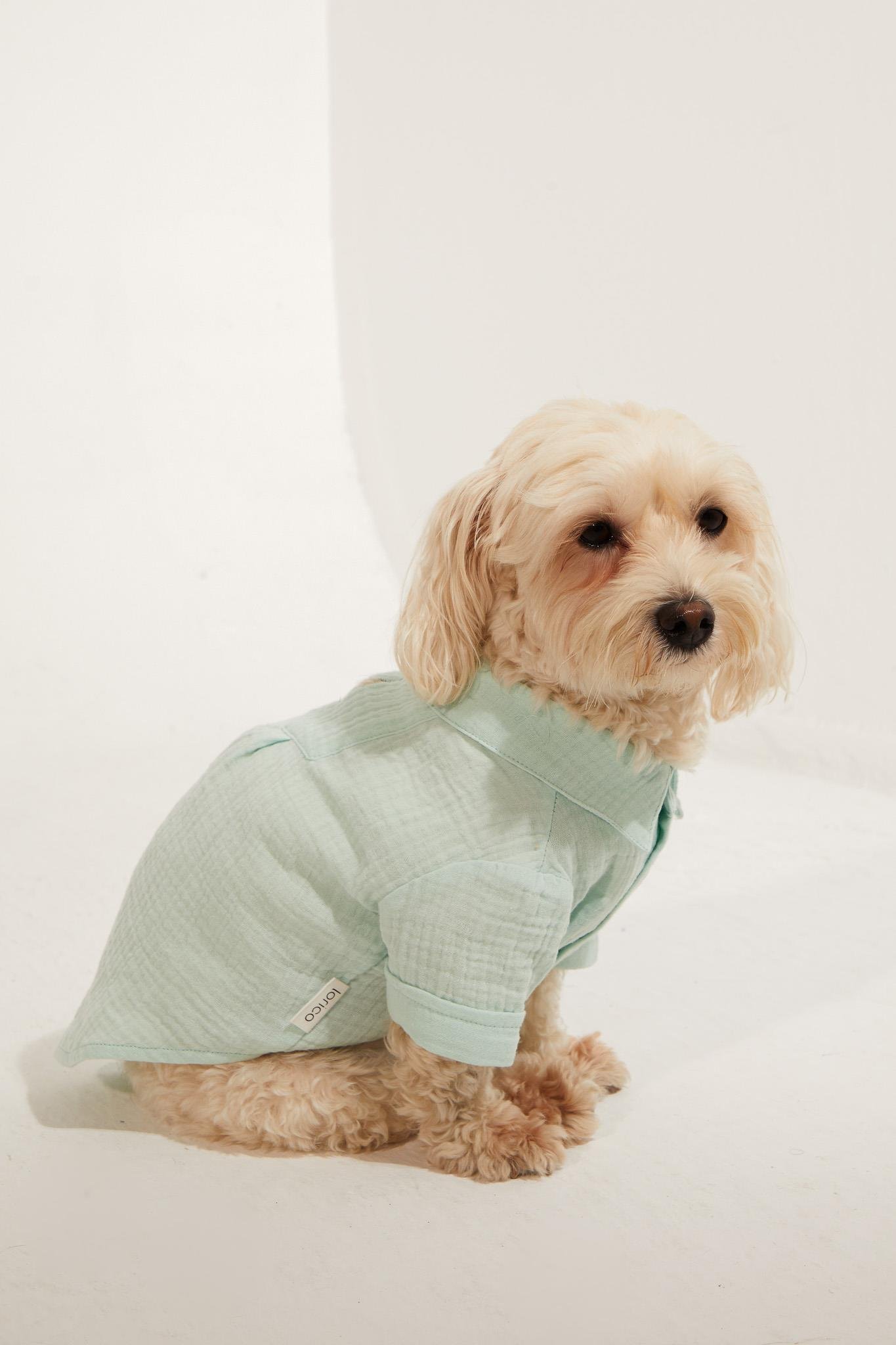 Lorico-Pet Positano Gömlek - Su Yeşili Köpek Kıyafeti