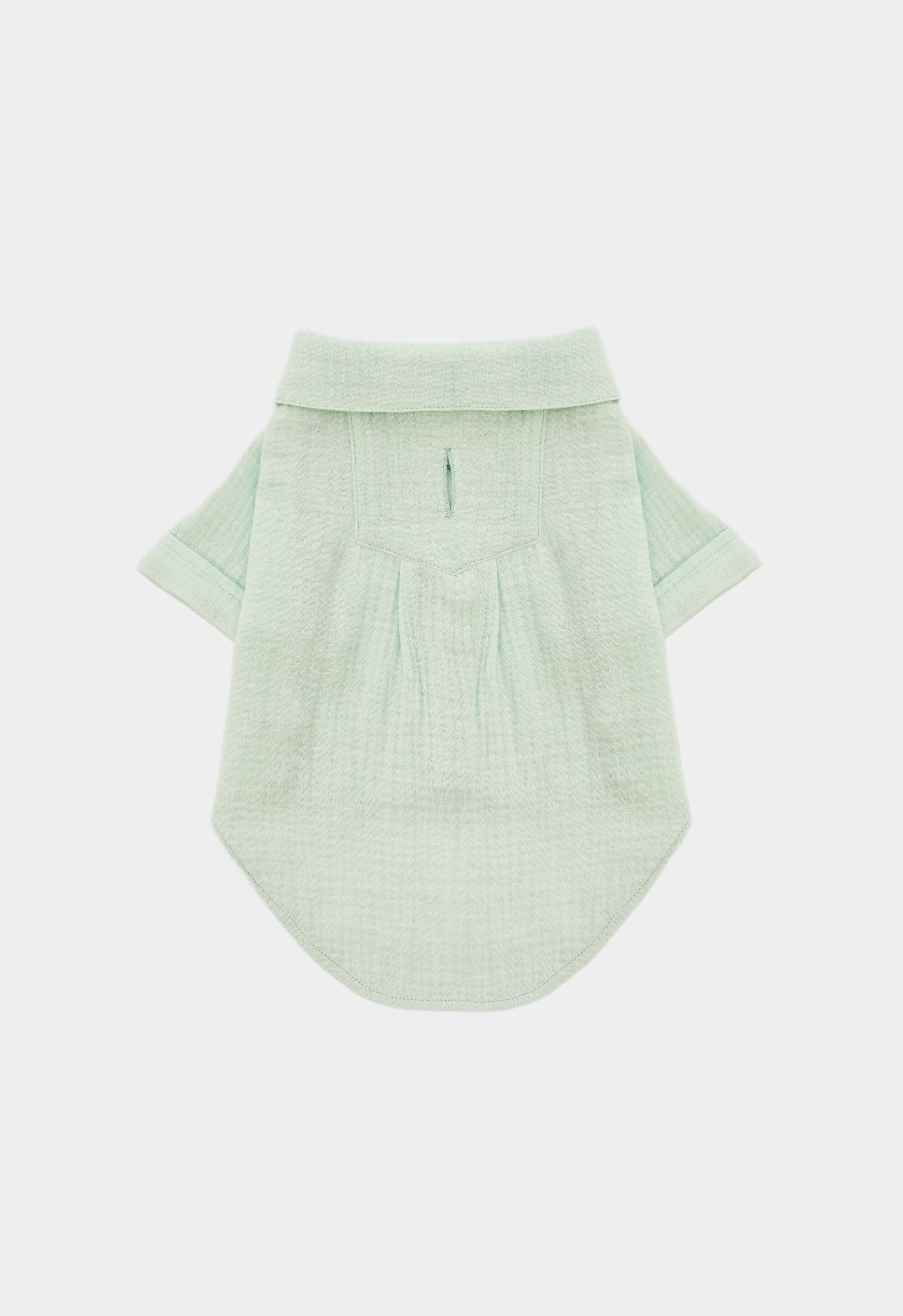 Lorico-Pet Positano Gömlek - Su Yeşili Köpek Kıyafeti