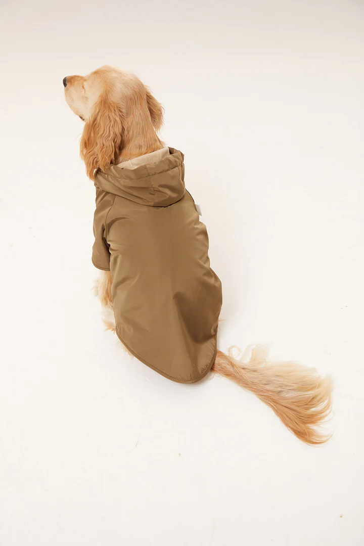 Lorico-Pet Torino Köpek Yağmurluk - Haki