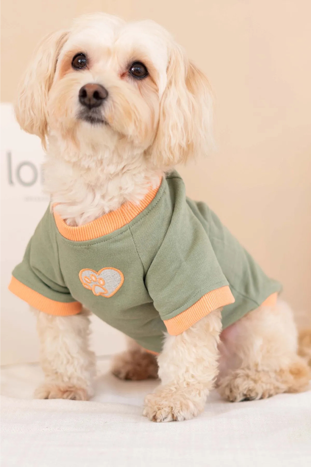 Lorico Trieste Sweatshirt Haki