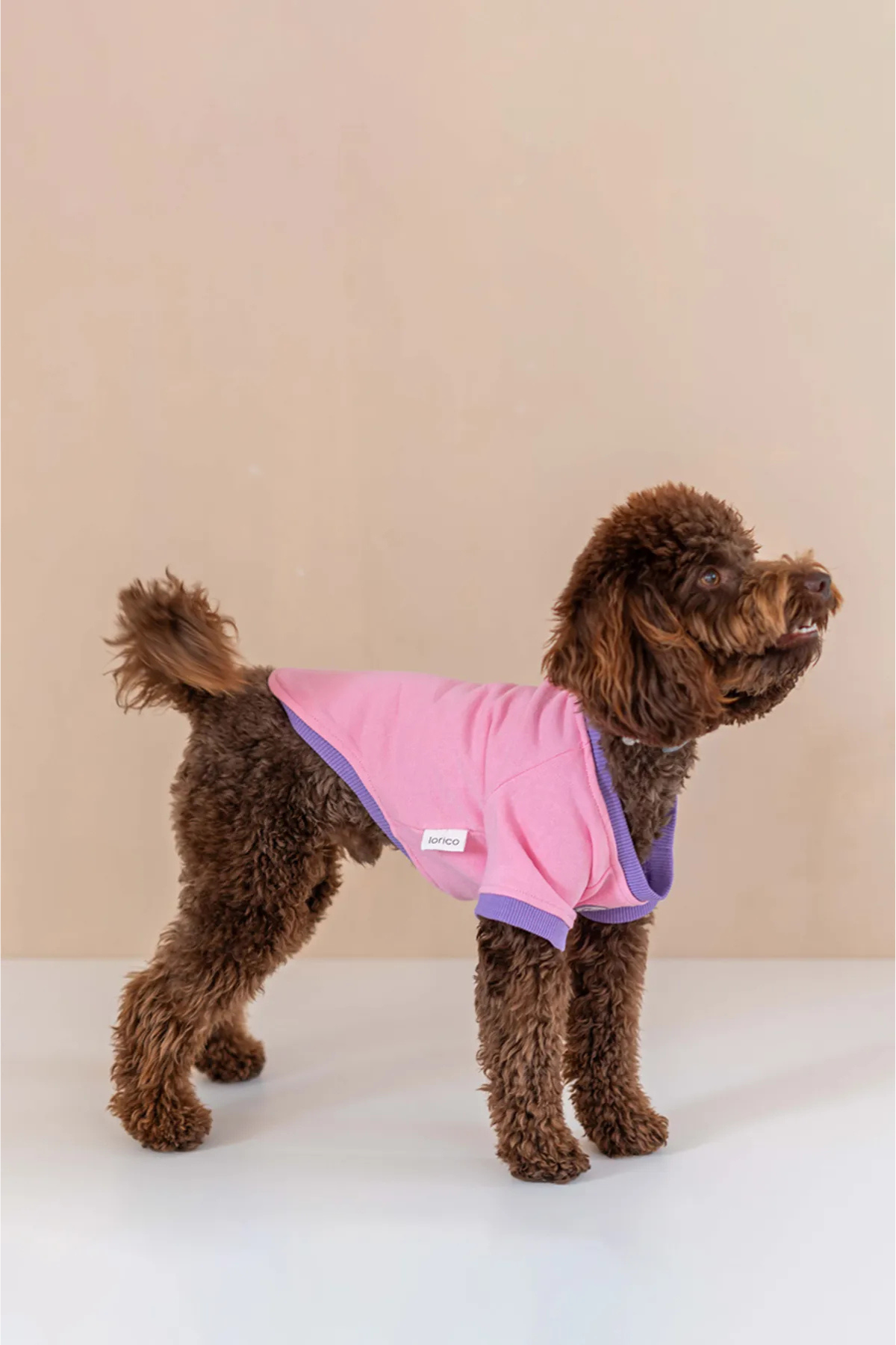 Lorico Trieste Sweatshirt Pembe