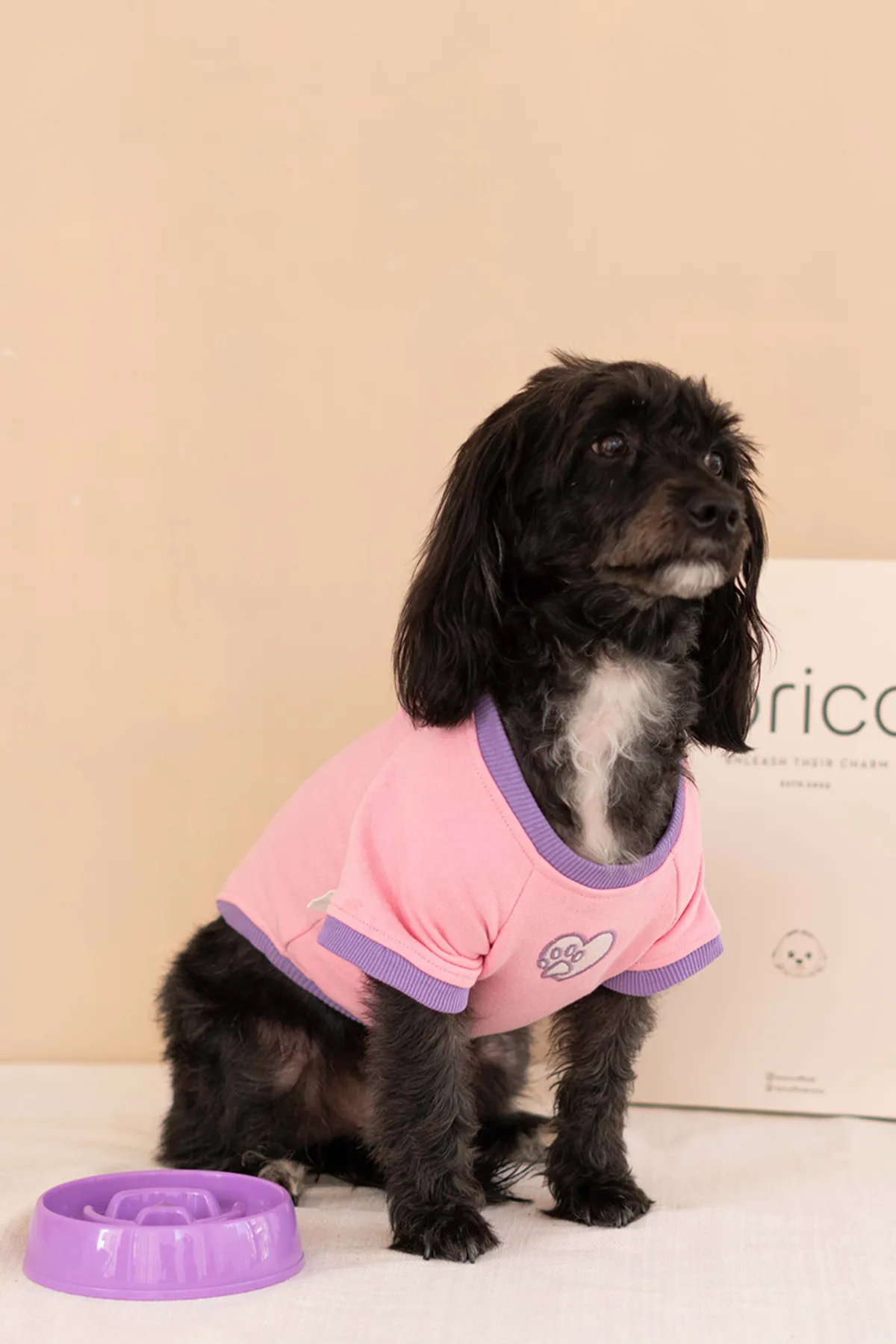 Lorico Trieste Sweatshirt Pembe