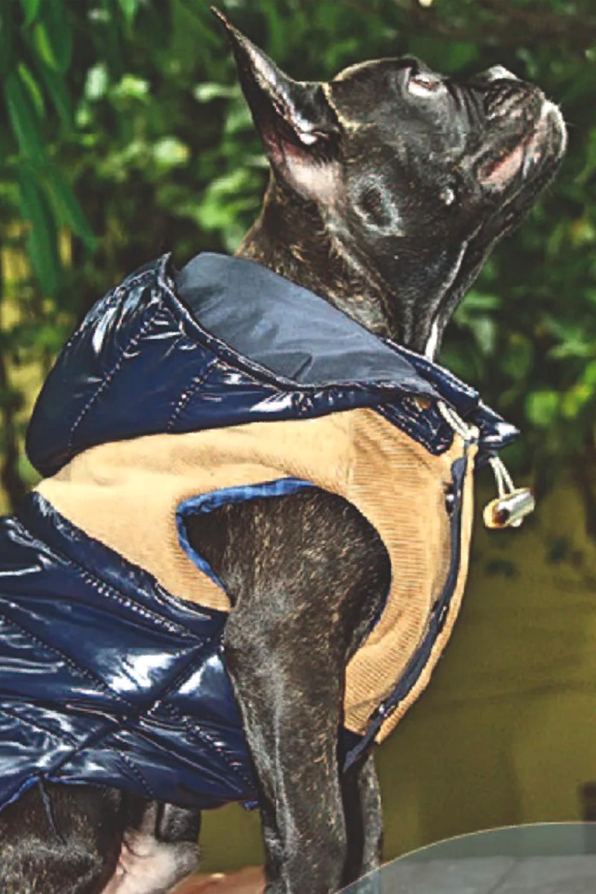 Lulu The Urban Pup Metallic Puffer