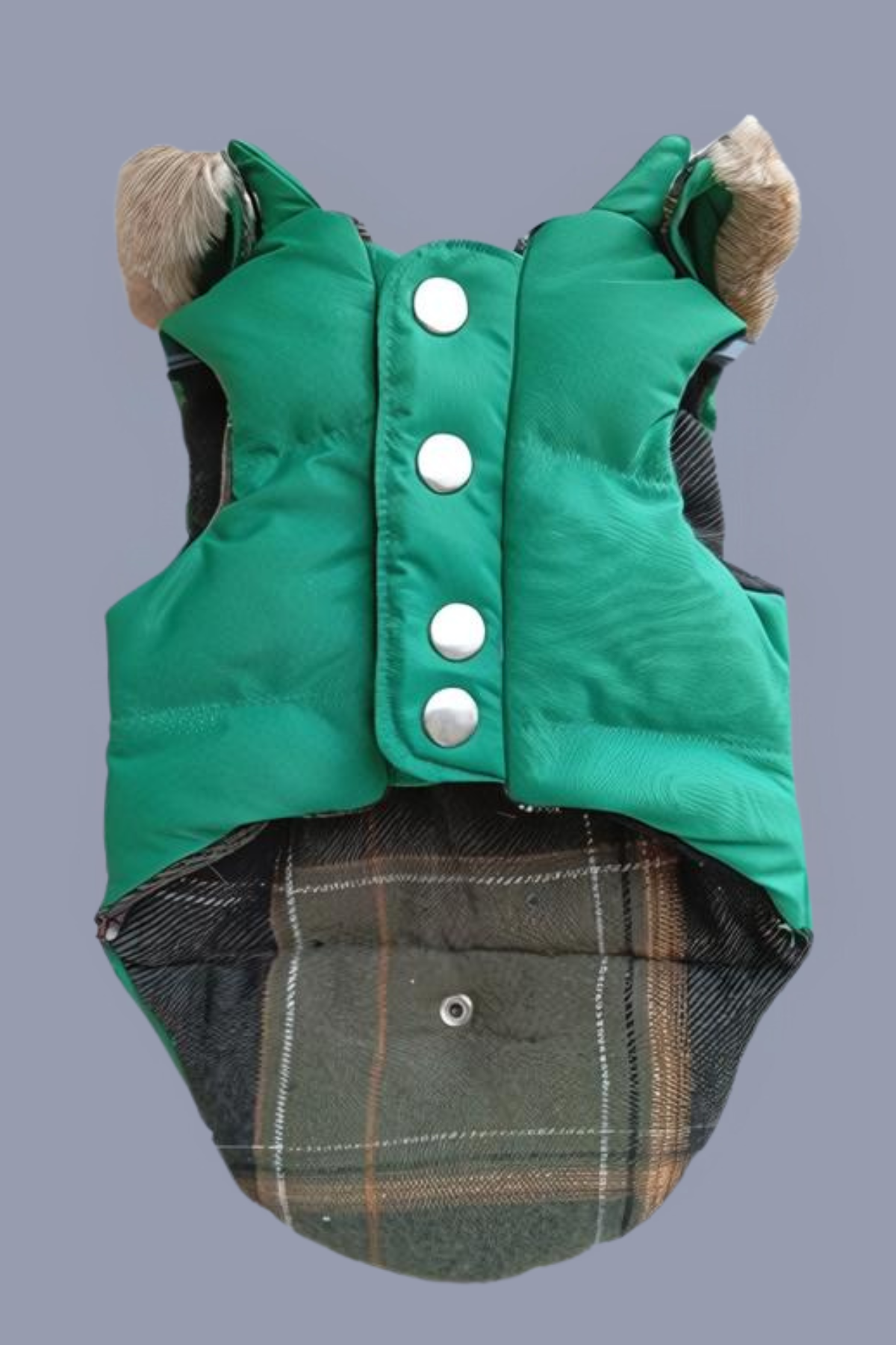 Lulu The Urban Pup The Green Puffer Jacket Köpek Mont