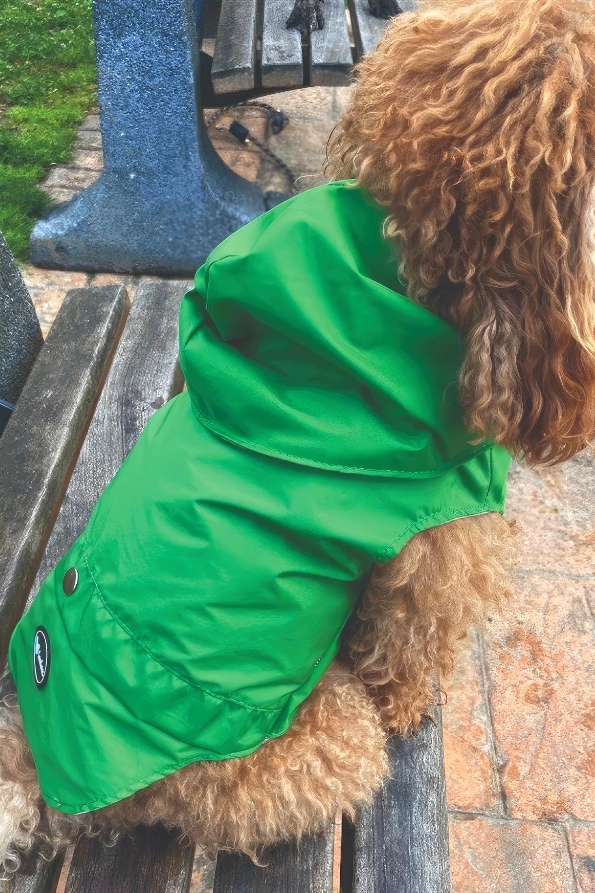 Lulu The Urban Pup Ultra Light Green Raincoat
