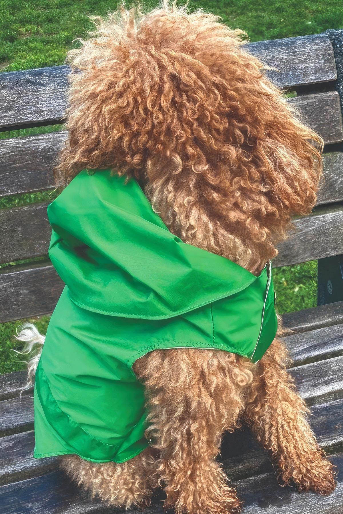 Lulu The Urban Pup Ultra Light Green Raincoat