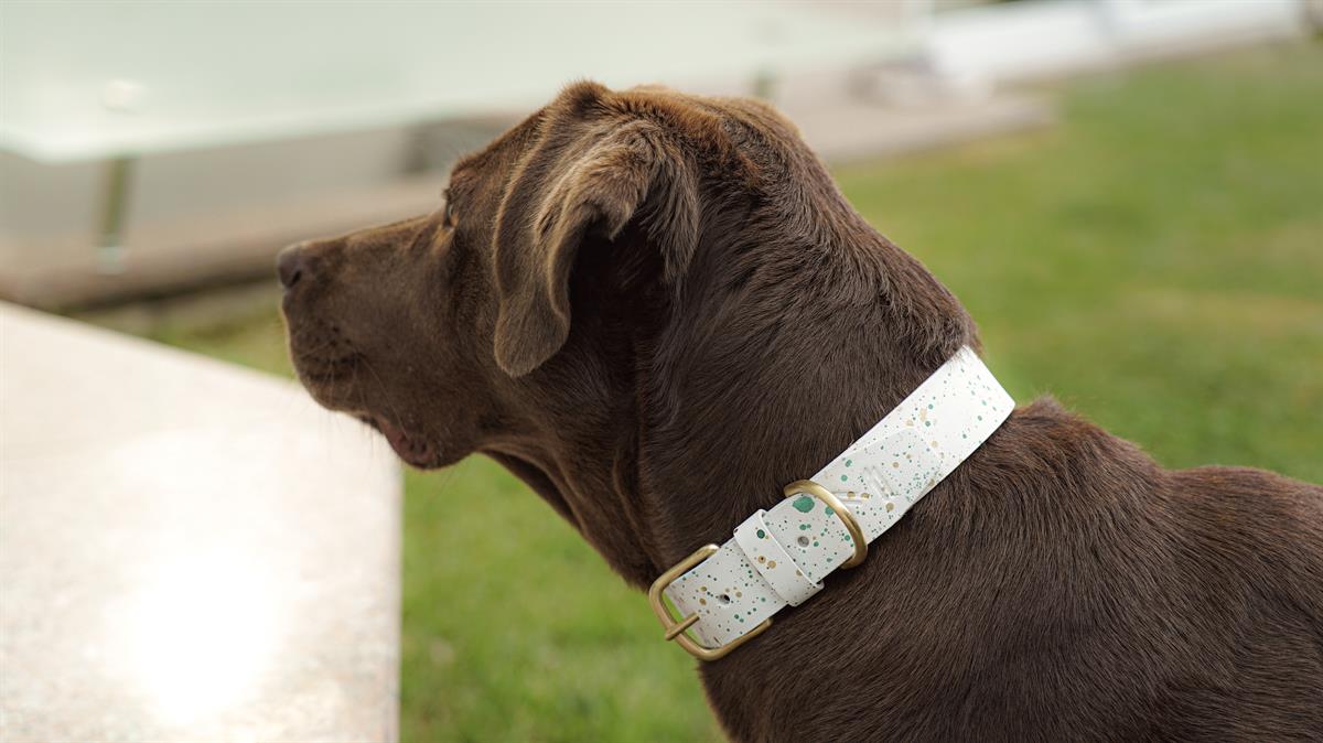 MarsAndMocha Beyaz Püskürtmeli Kedi-Köpek Tasması