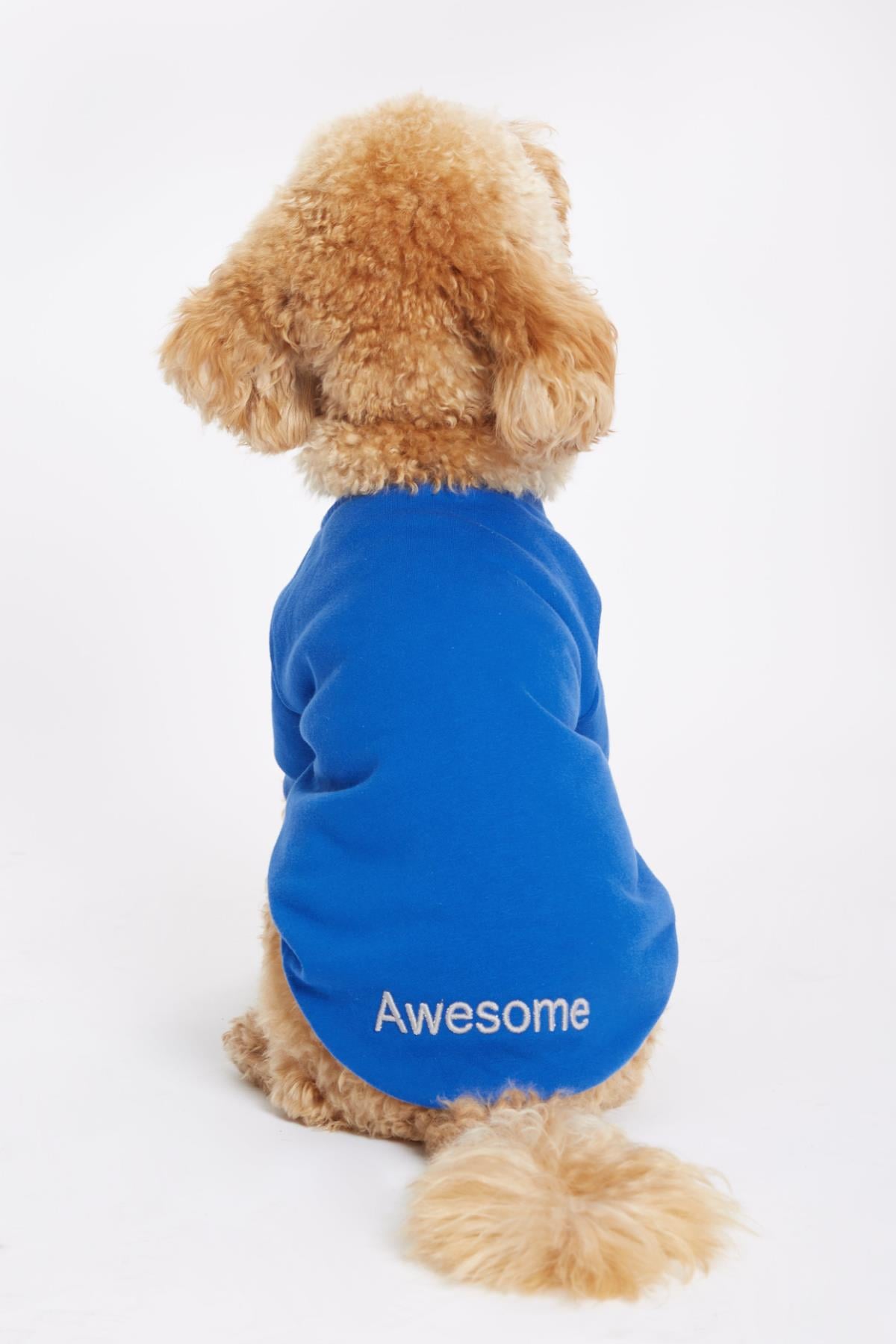 Monido Mavi Köpek Sweatshirt - 