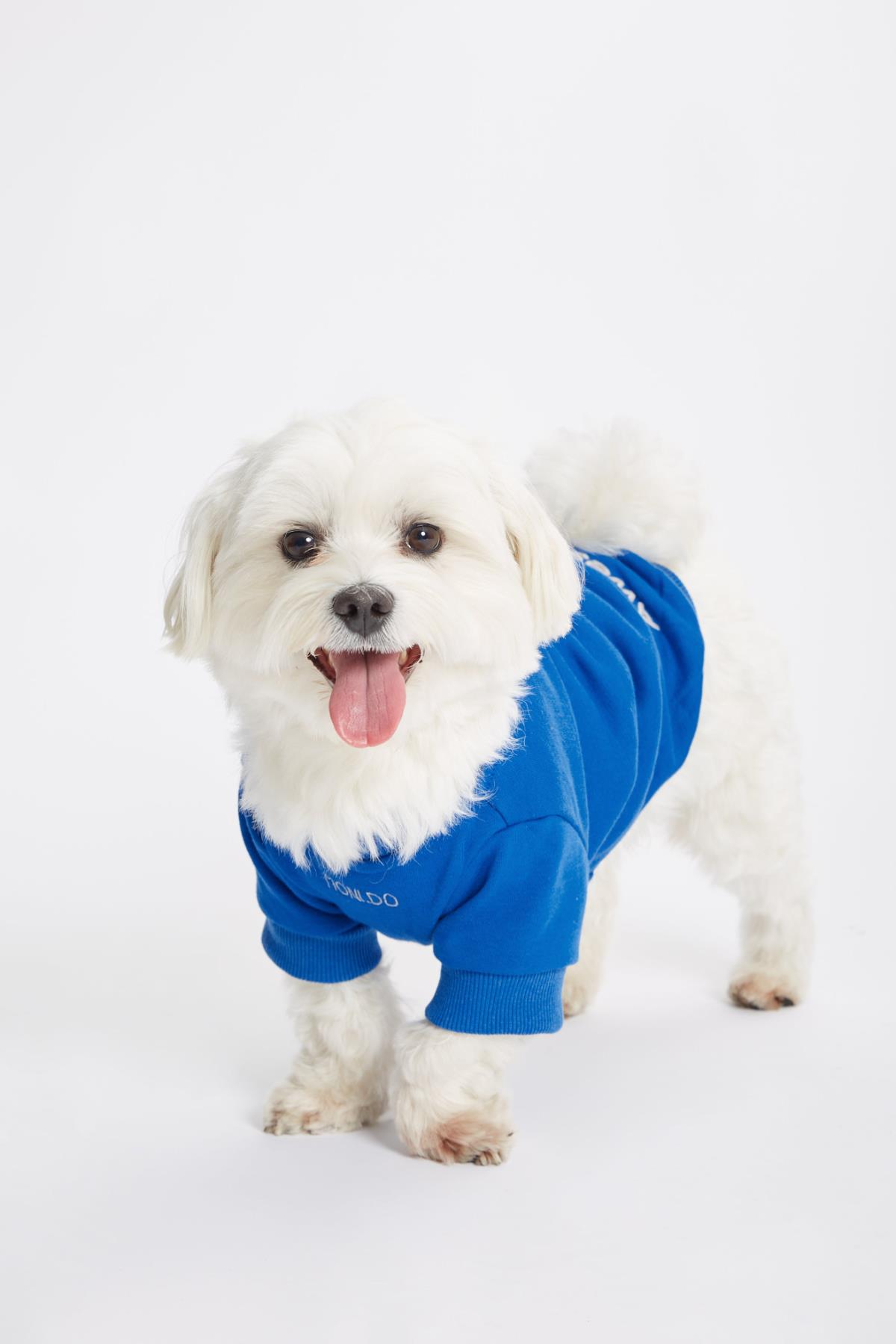 Monido Mavi Köpek Sweatshirt - 