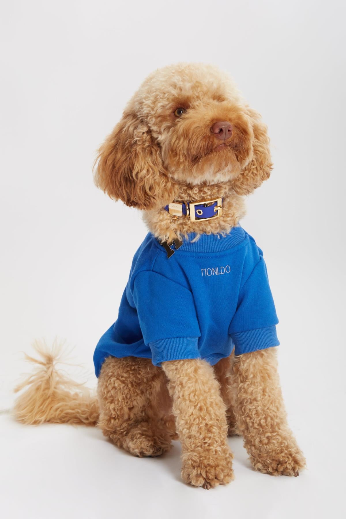 Monido Mavi Köpek Sweatshirt - 