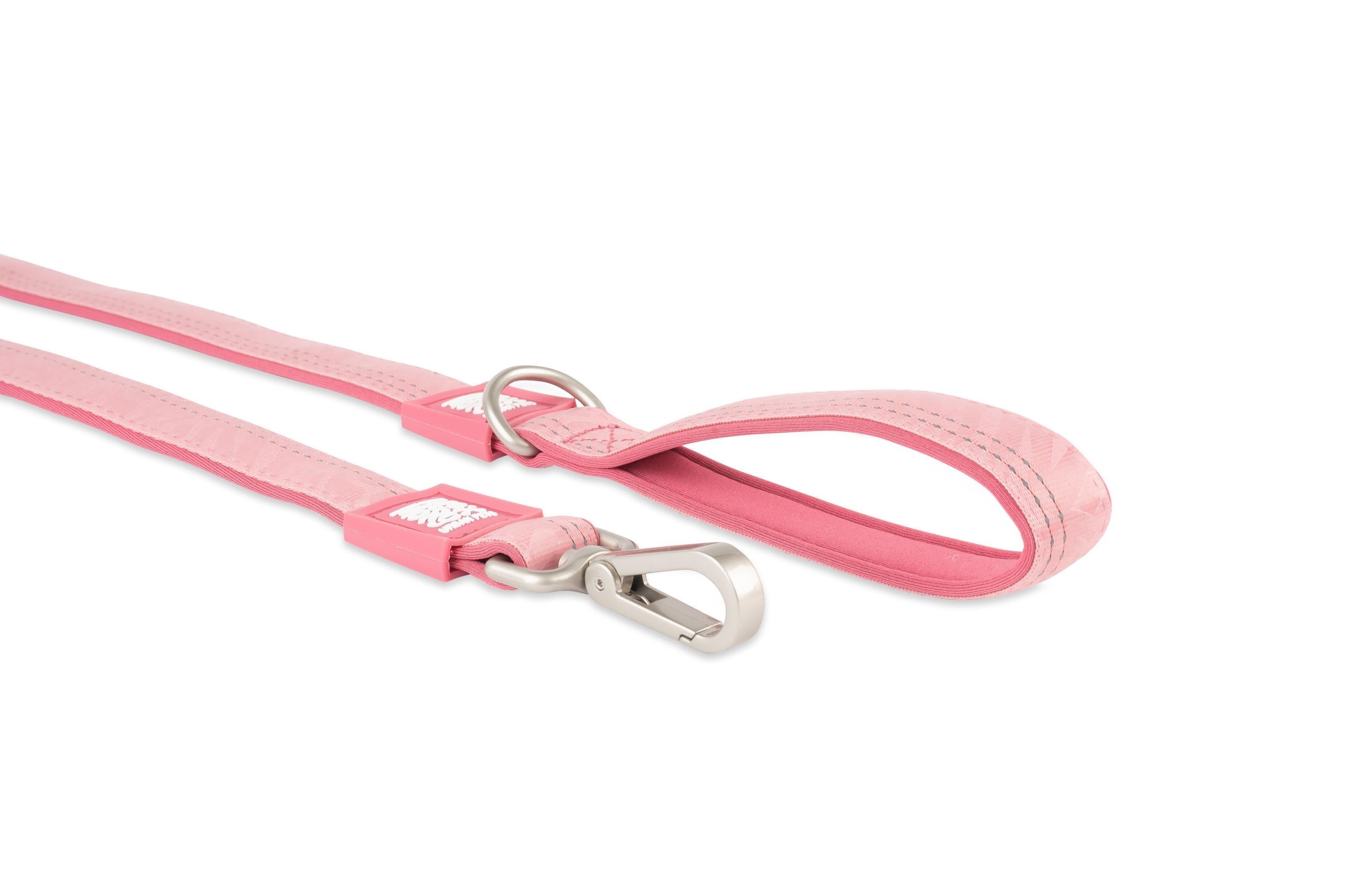 Max & Molly Matrix 2.0 Dog Walking Leash - Rose