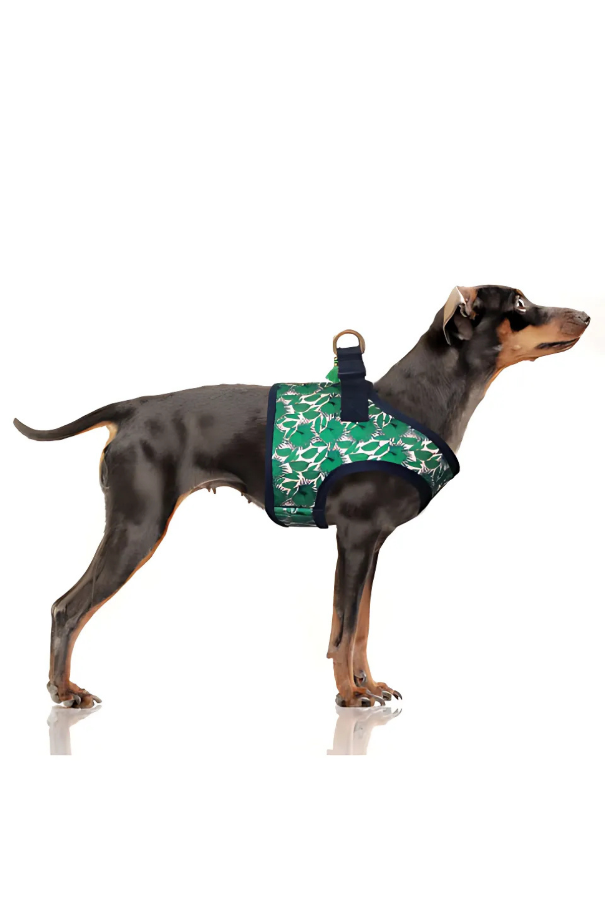 Milk and Pepper Maya Green Palm Tree Jacket Göğüs Tasması 