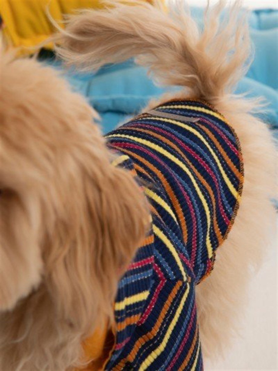 Moi and Ellie Aby Tee Hoodie Köpek Sweatshirt