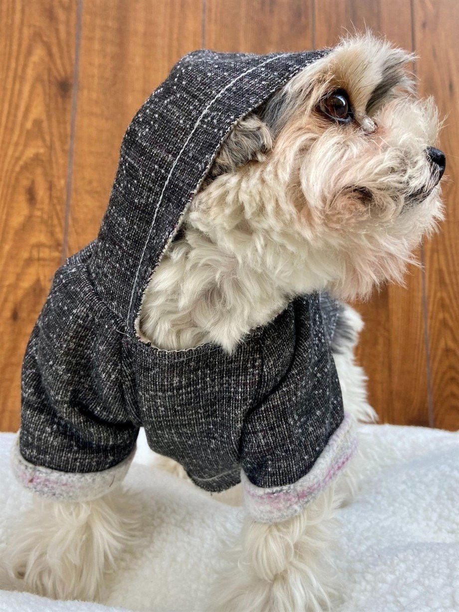Moi and Ellie Brad Hoodie sweatshirt