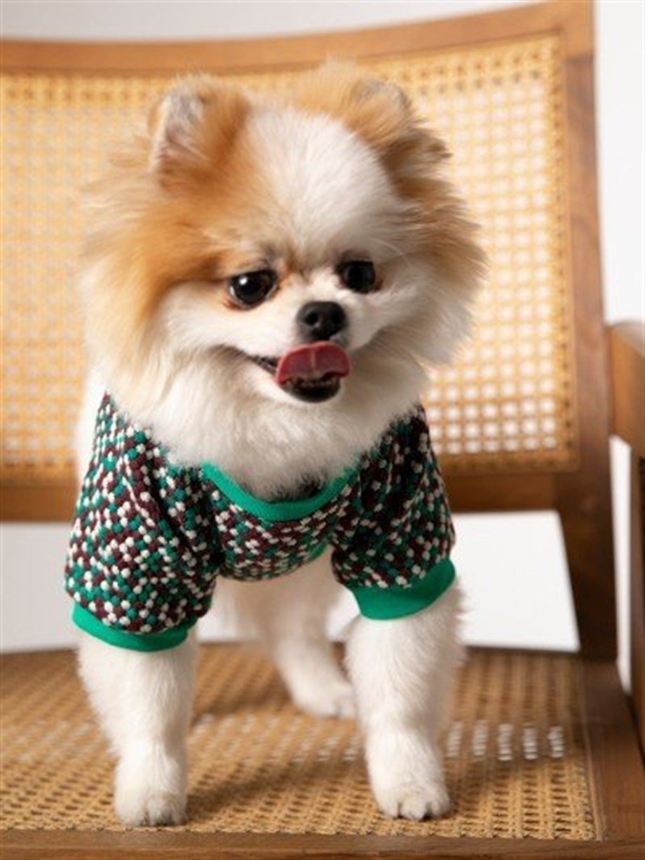 Moi and Ellie Cooper Köpek Sweatshirt