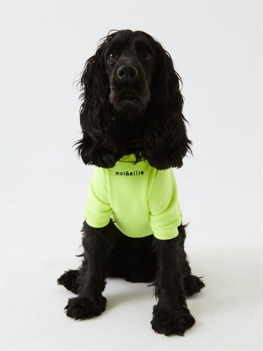 Moi And Ellie Jr Hndsh Dog Sweatshirt