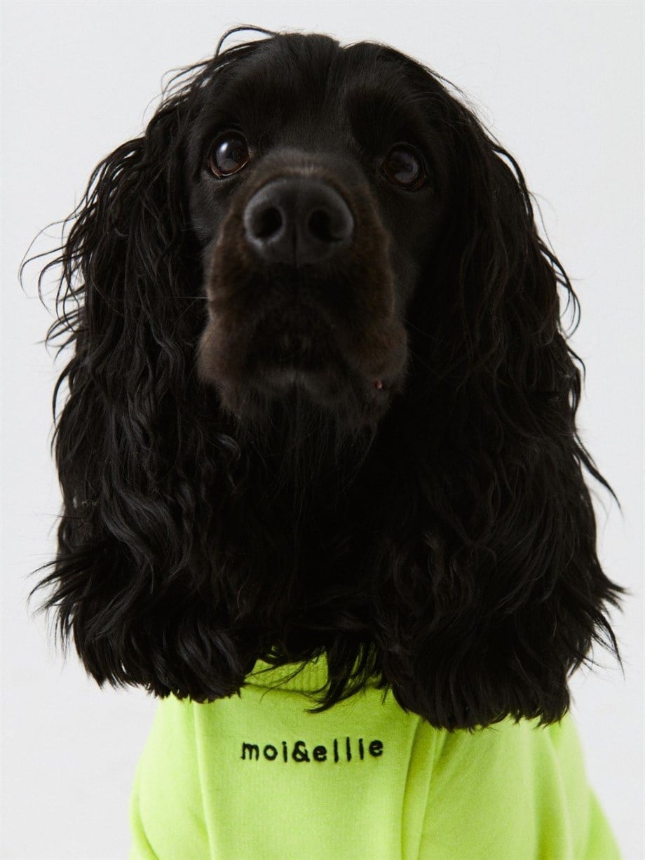 Moi And Ellie Jr Hndsh Dog Sweatshirt
