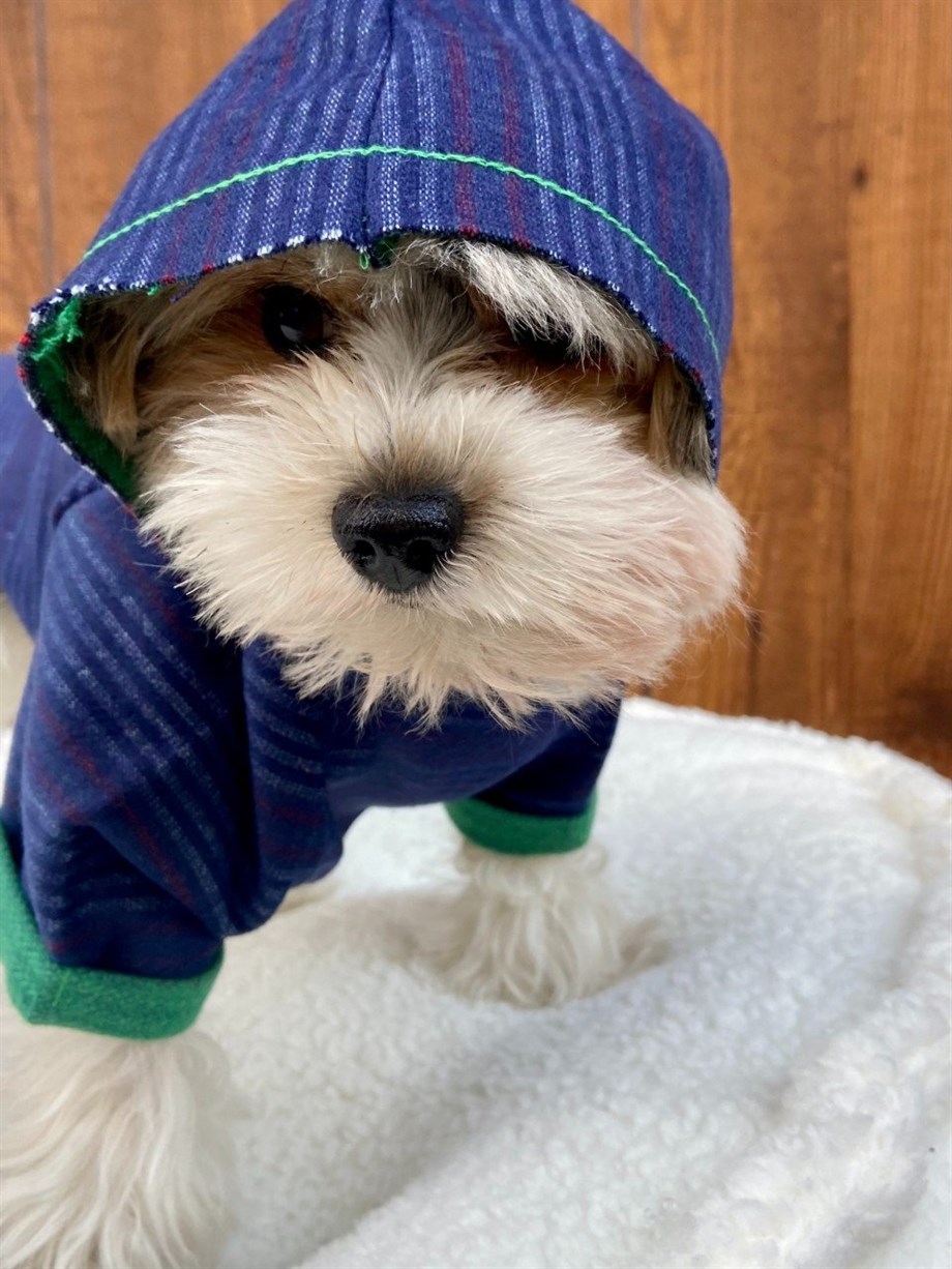 Moi and Ellie Morgan Hoodie sweatshirt