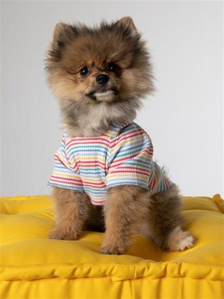 Moi And Ellie Oliver Tee Hoodie Dog Sweatshirt