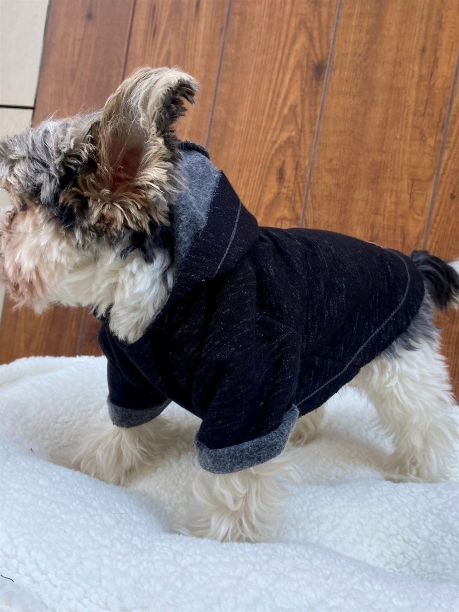 Moi and Ellie Will Hoodie sweatshirt