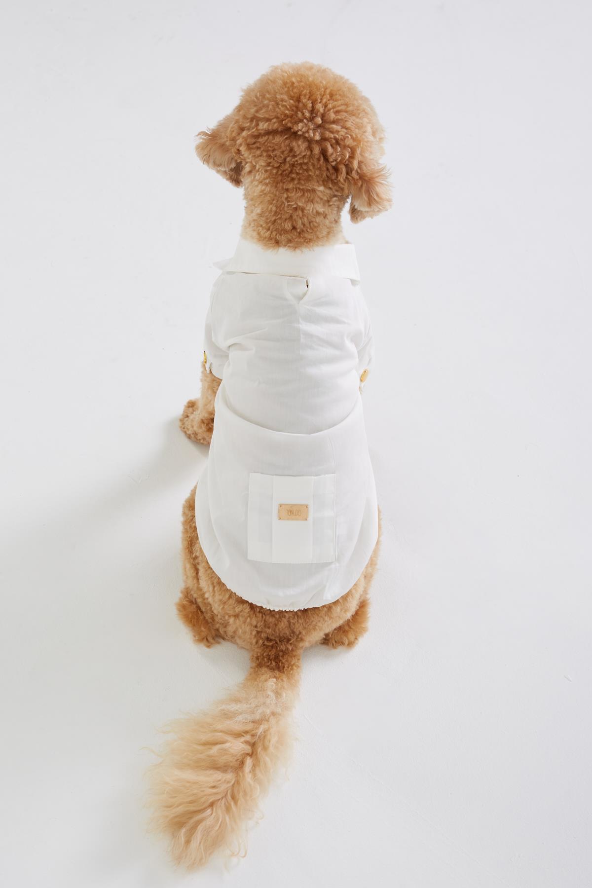 Monido Beyaz Köpek Gömlek - Gold Düğmeler ve Cep Detaylı