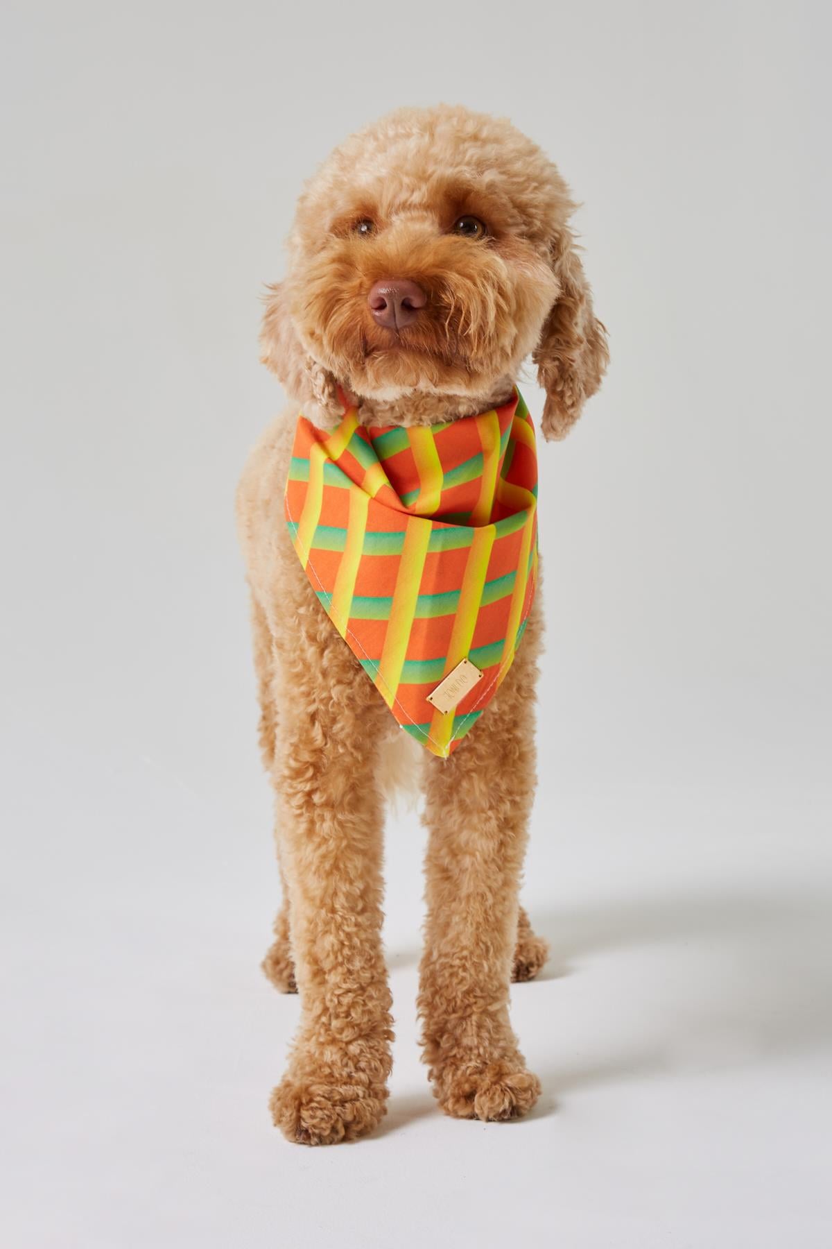 Monido Geometrik Desenli Köpek Bandana