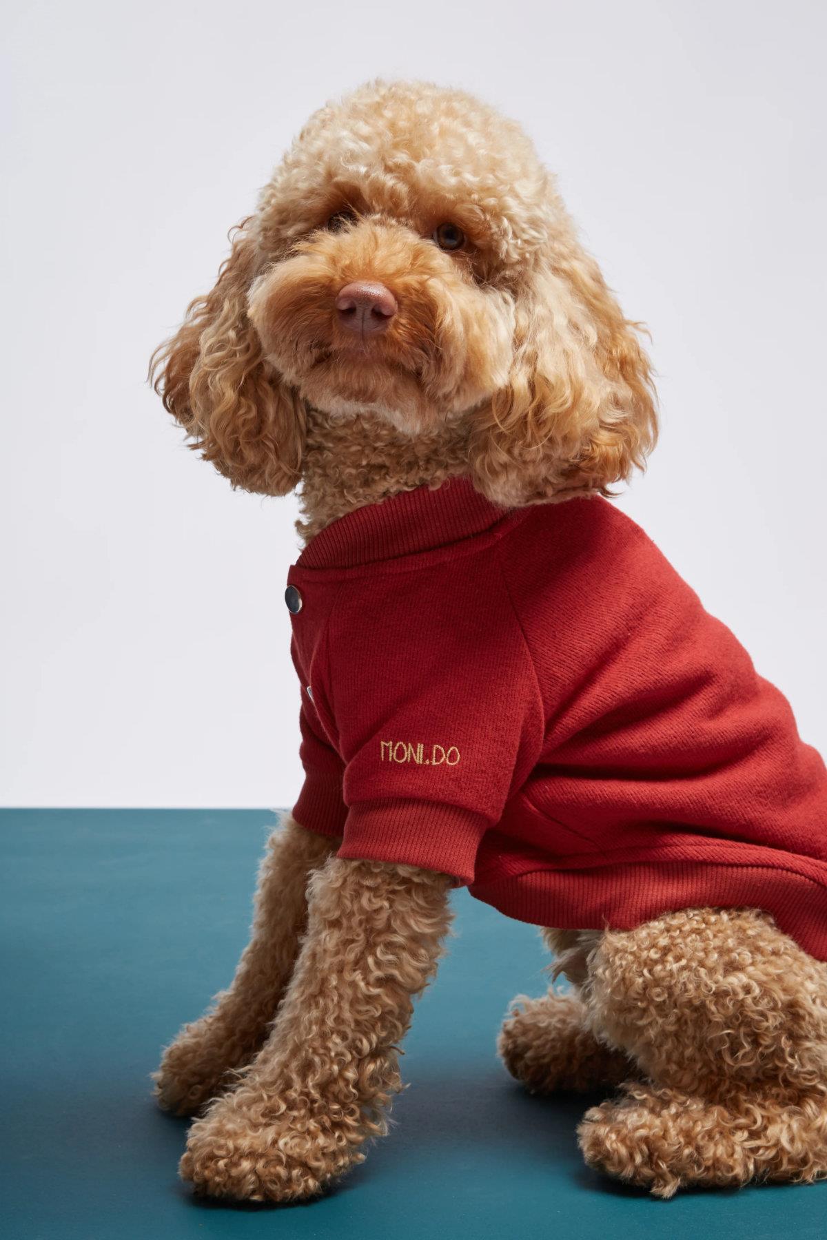 Monido Kırmızı Köpek Kolej Ceketi - 